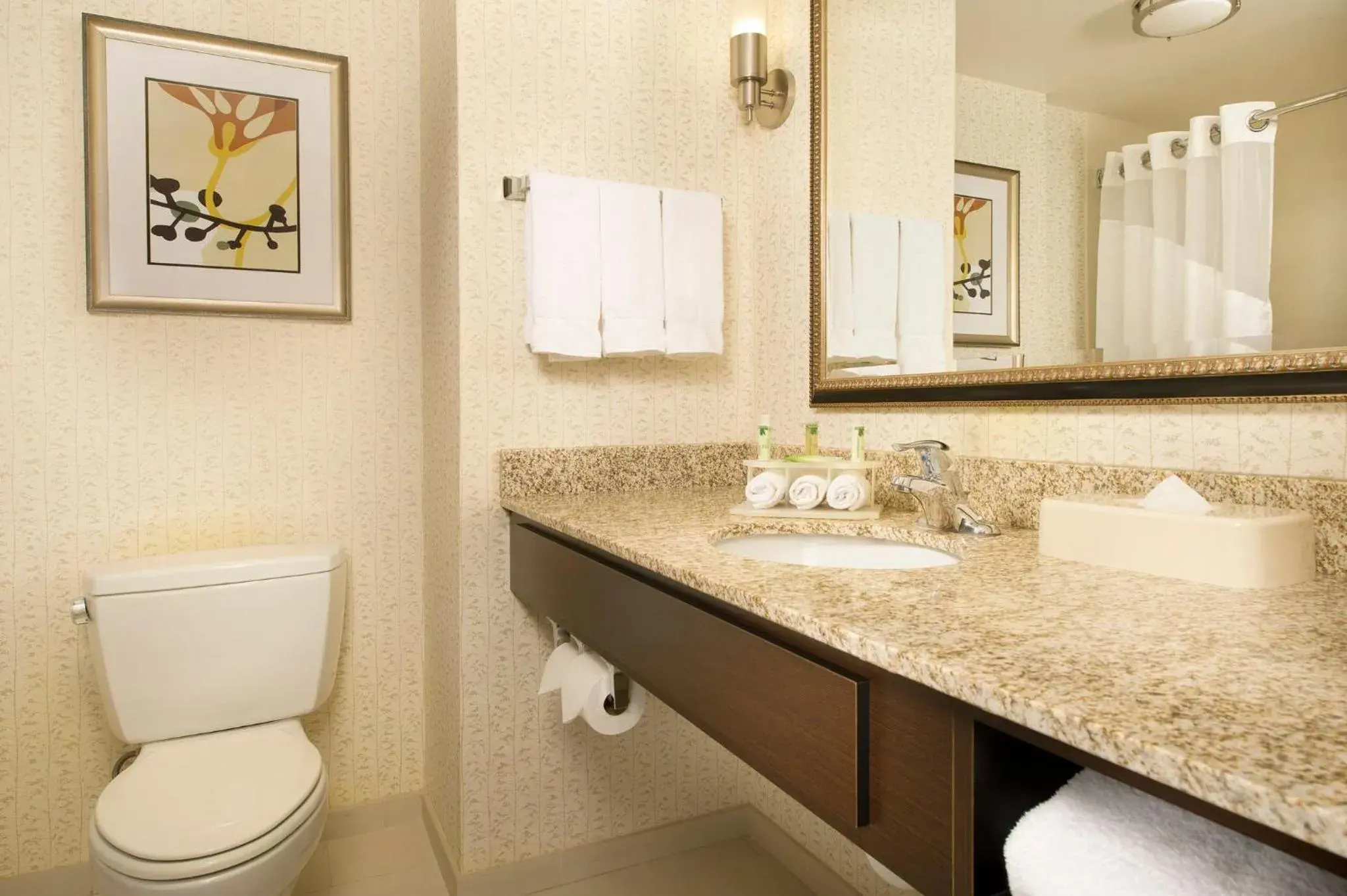 Bathroom in Holiday Inn Express & Suites Alexandria - Fort Belvoir by IHG Bathroom in Holiday Inn Express & Suites Alexandria - Fort Belvoir by IHG