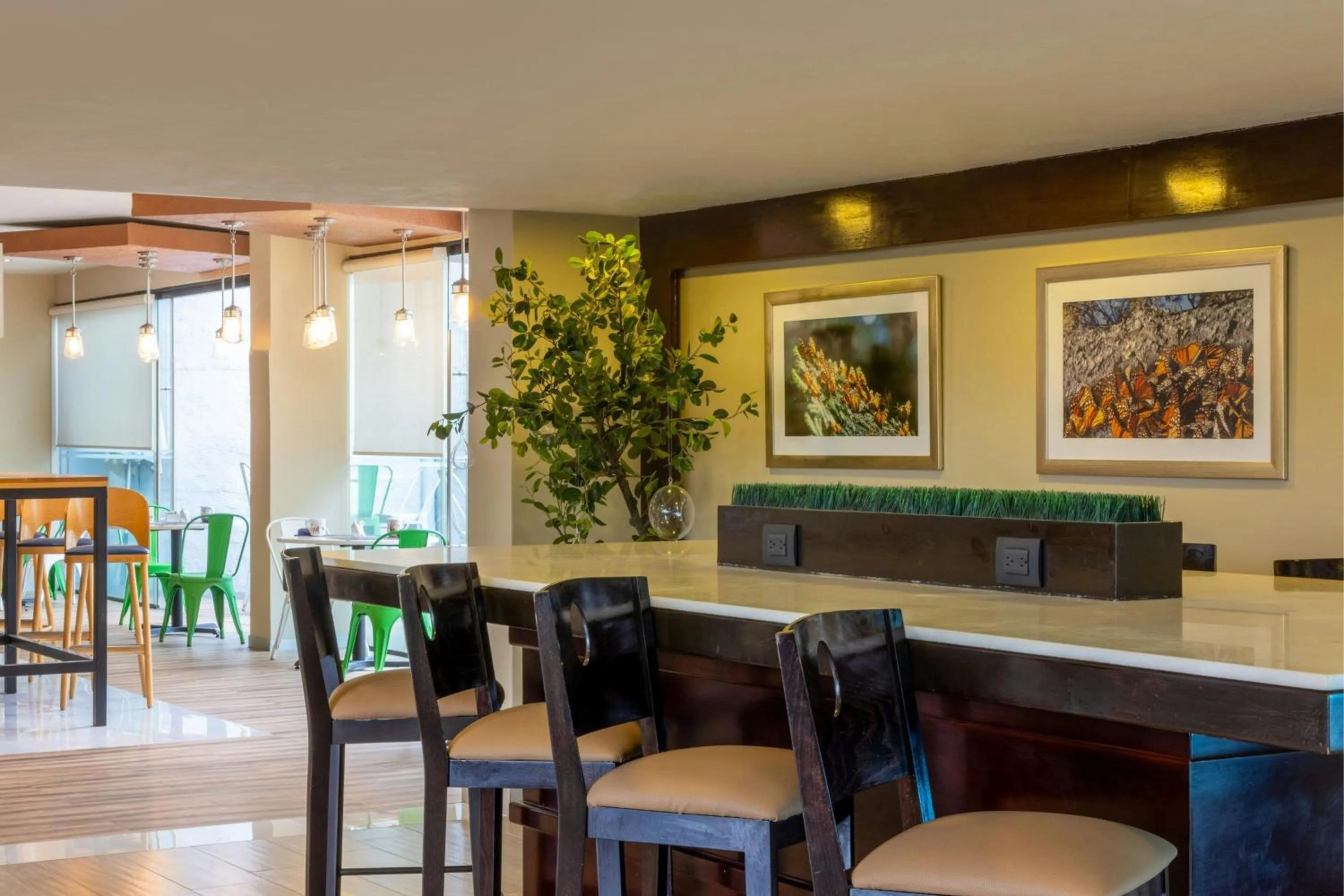 Restaurant/places to eat in Courtyard Toluca Airport