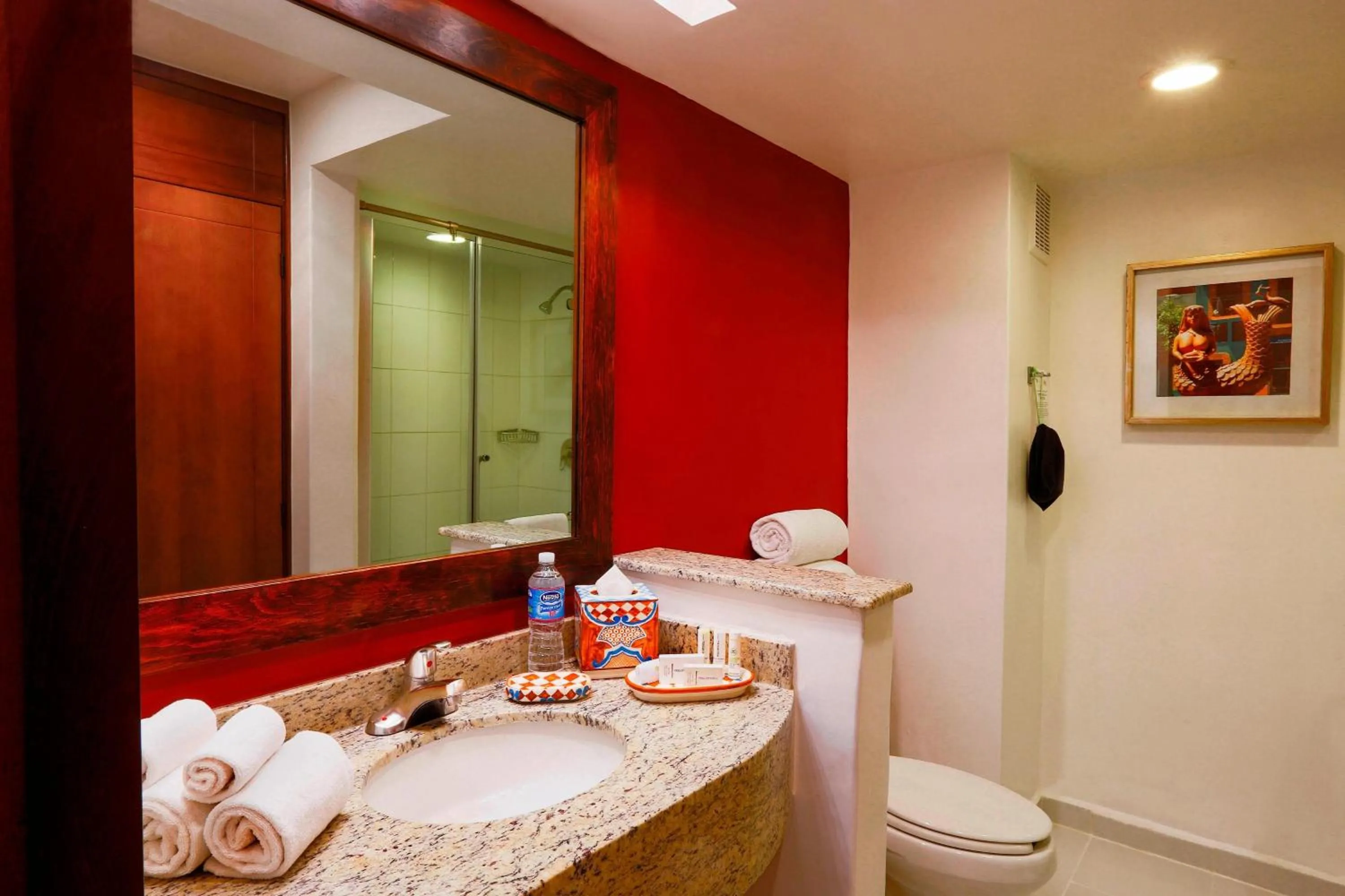 Bathroom in Courtyard Toluca Airport