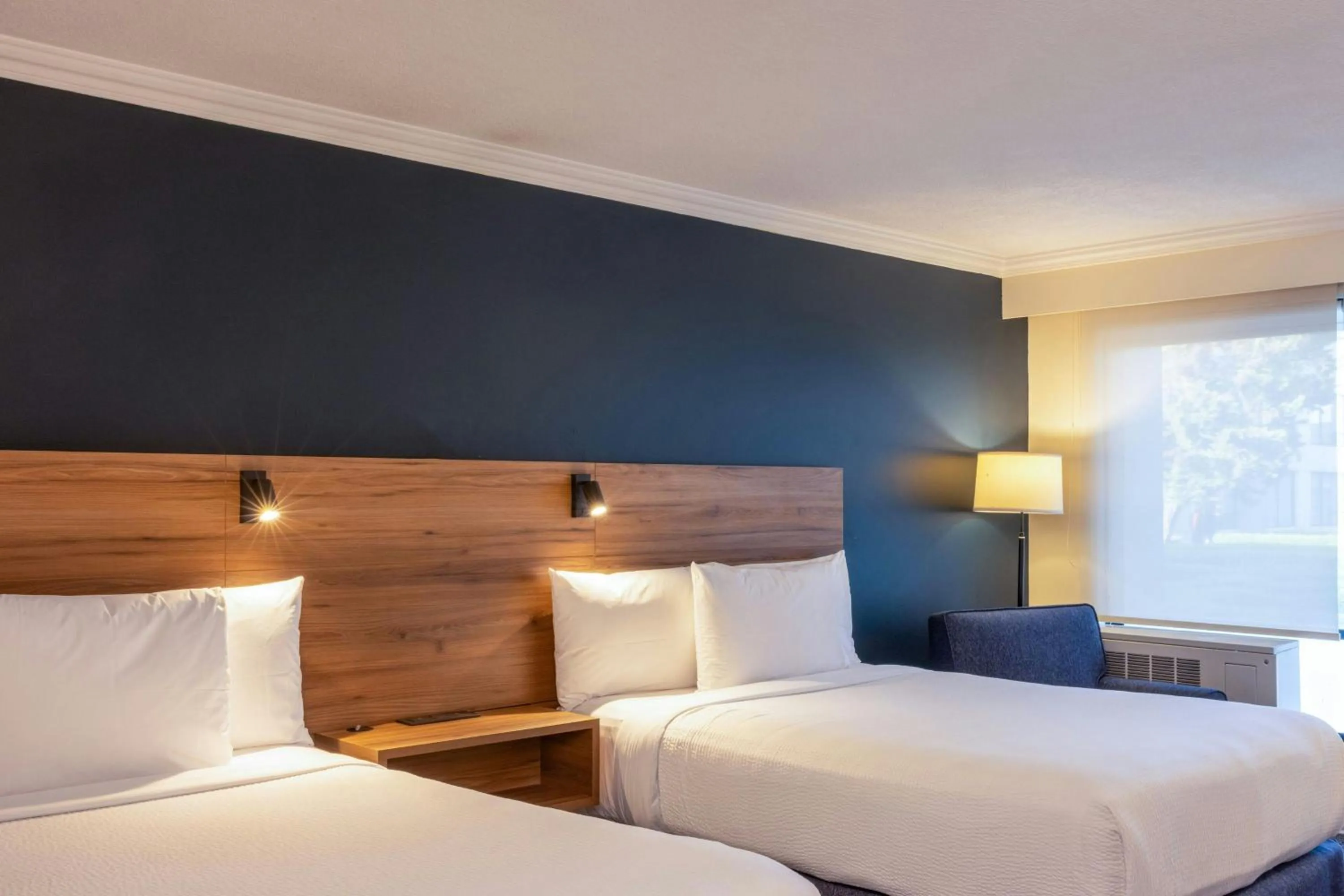 Photo of the whole room, Bed in Courtyard Toluca Airport