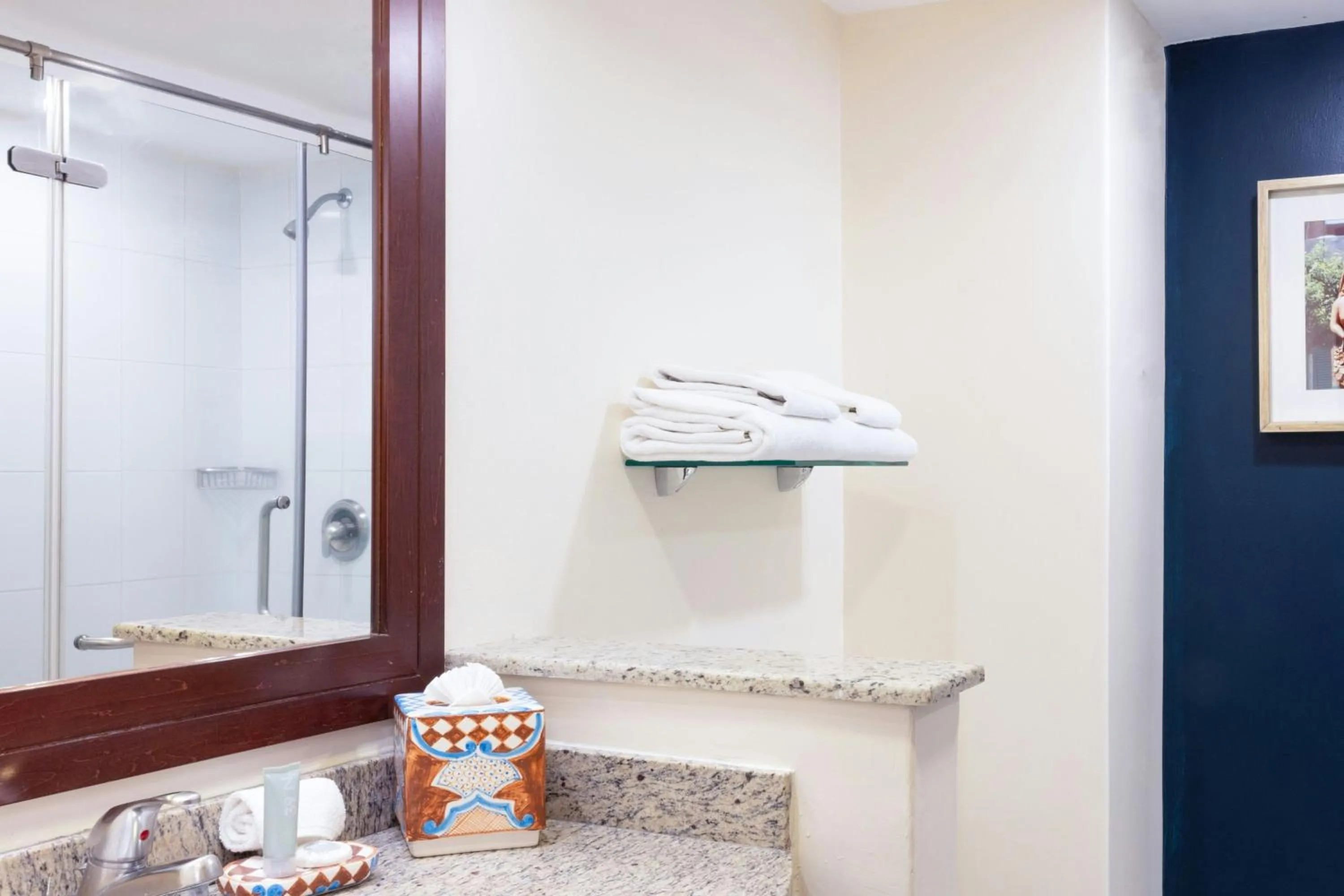 Bathroom in Courtyard Toluca Airport