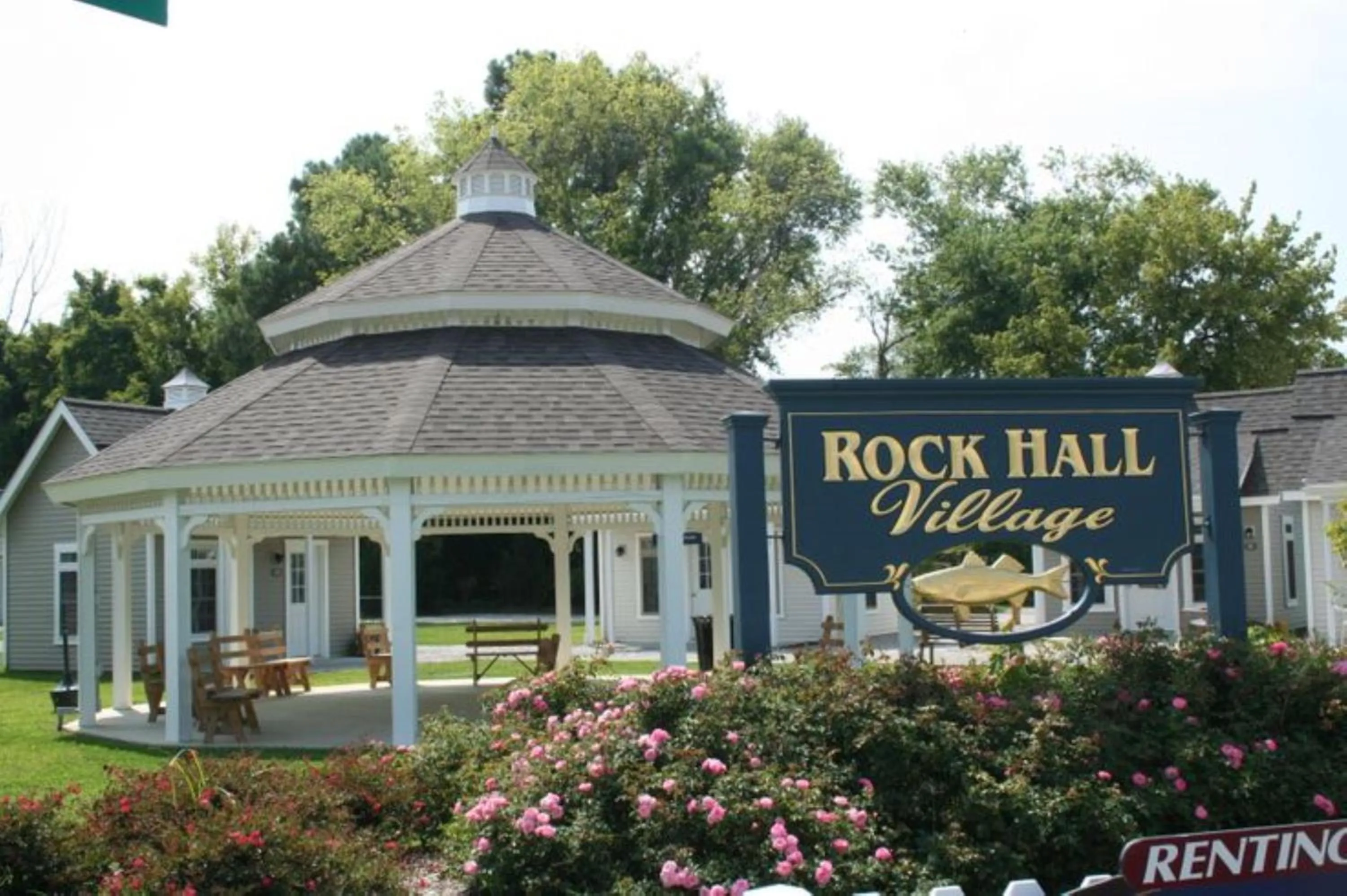 Activities in Comfort Inn & Suites Chestertown