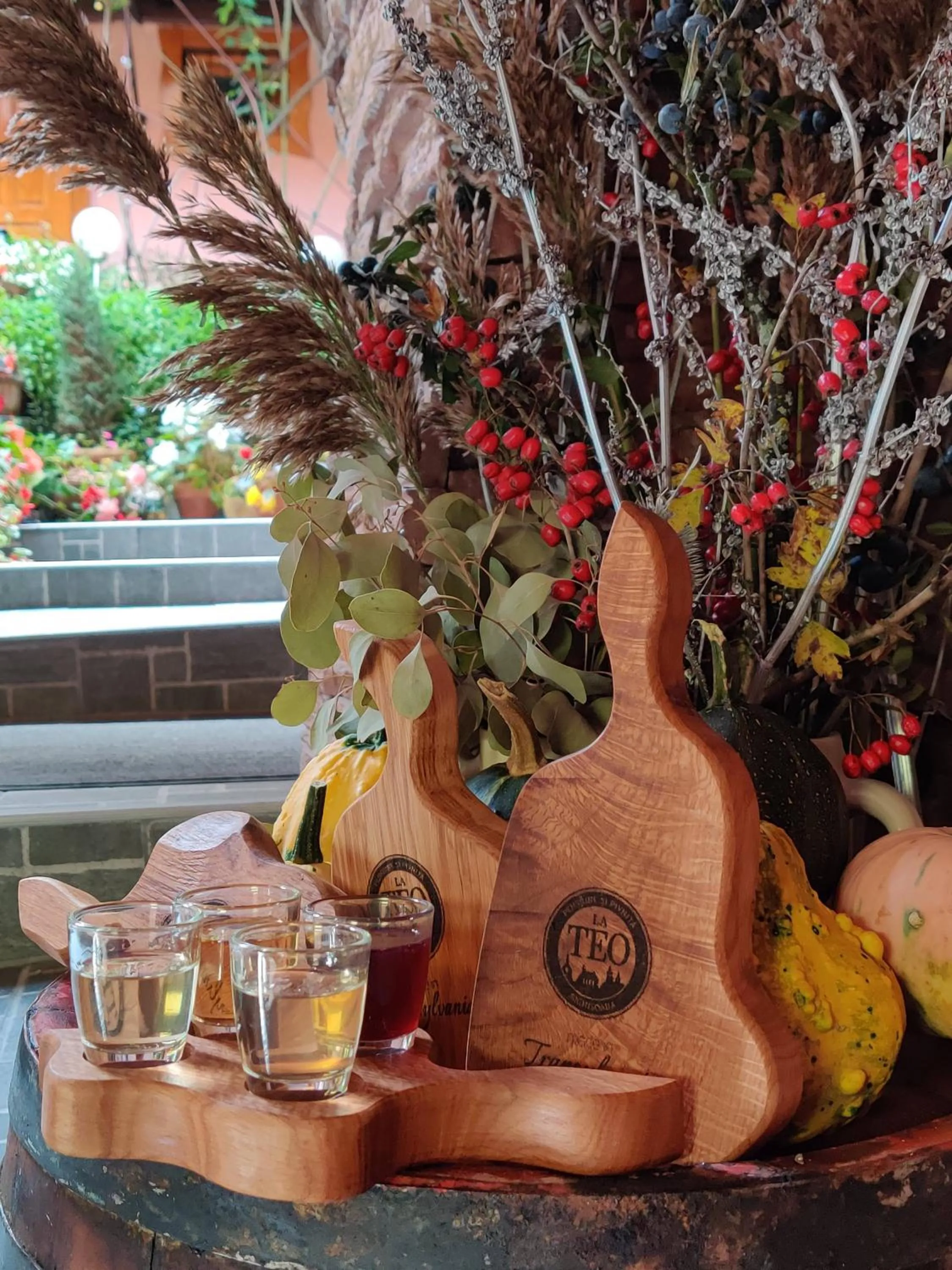 Drinks in La Teo Pensiune si Pivnita