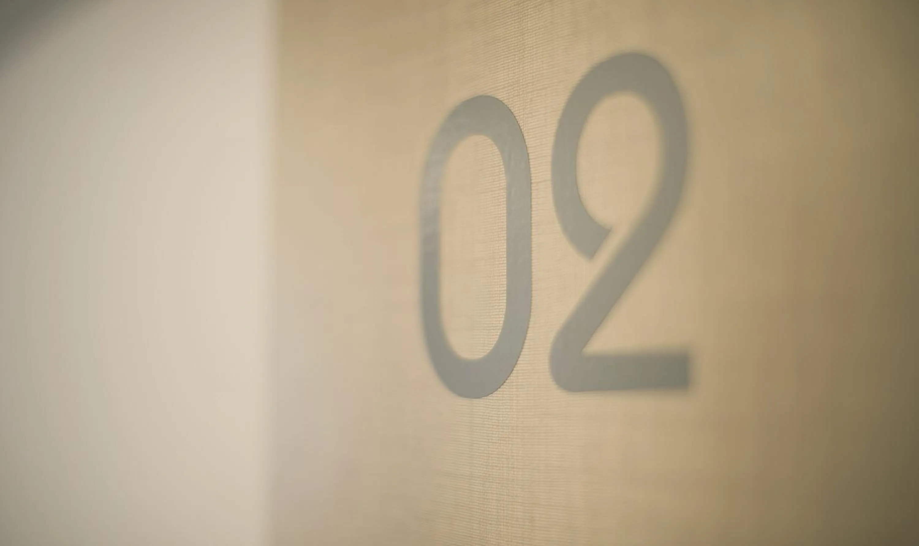 Decorative detail in Sono House