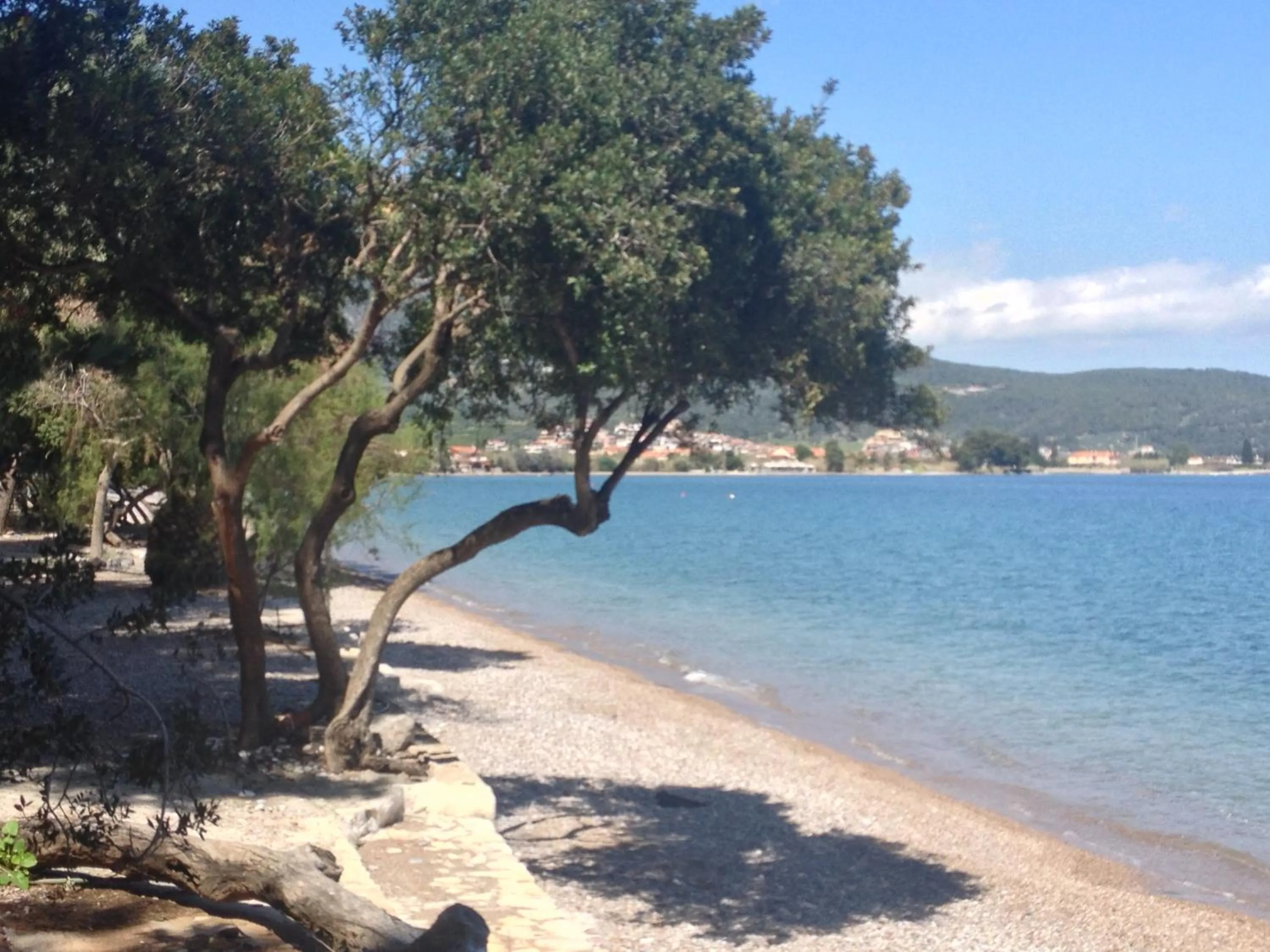 Beach in Yialasi Hotel