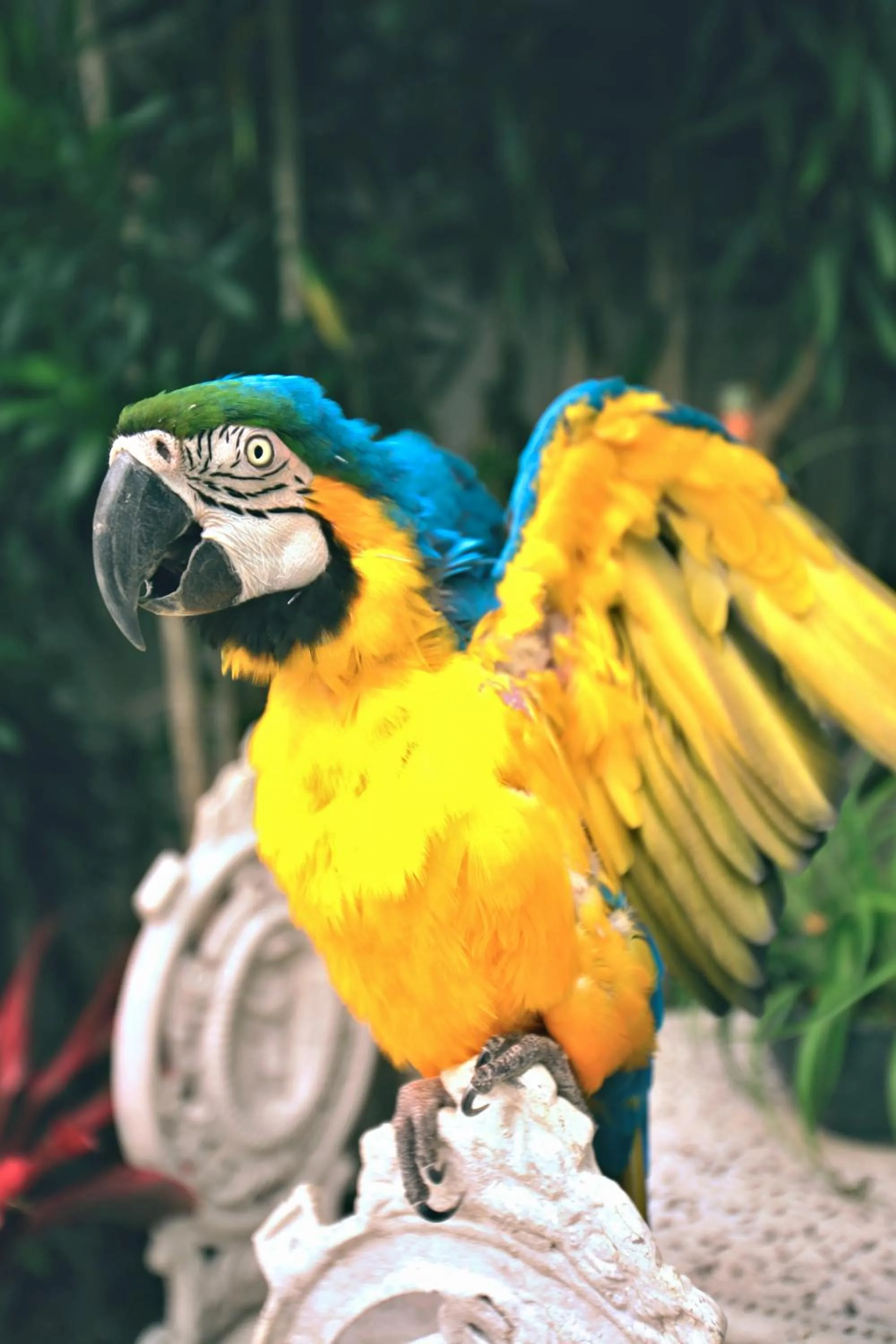 Animals in Pousada do Bispo