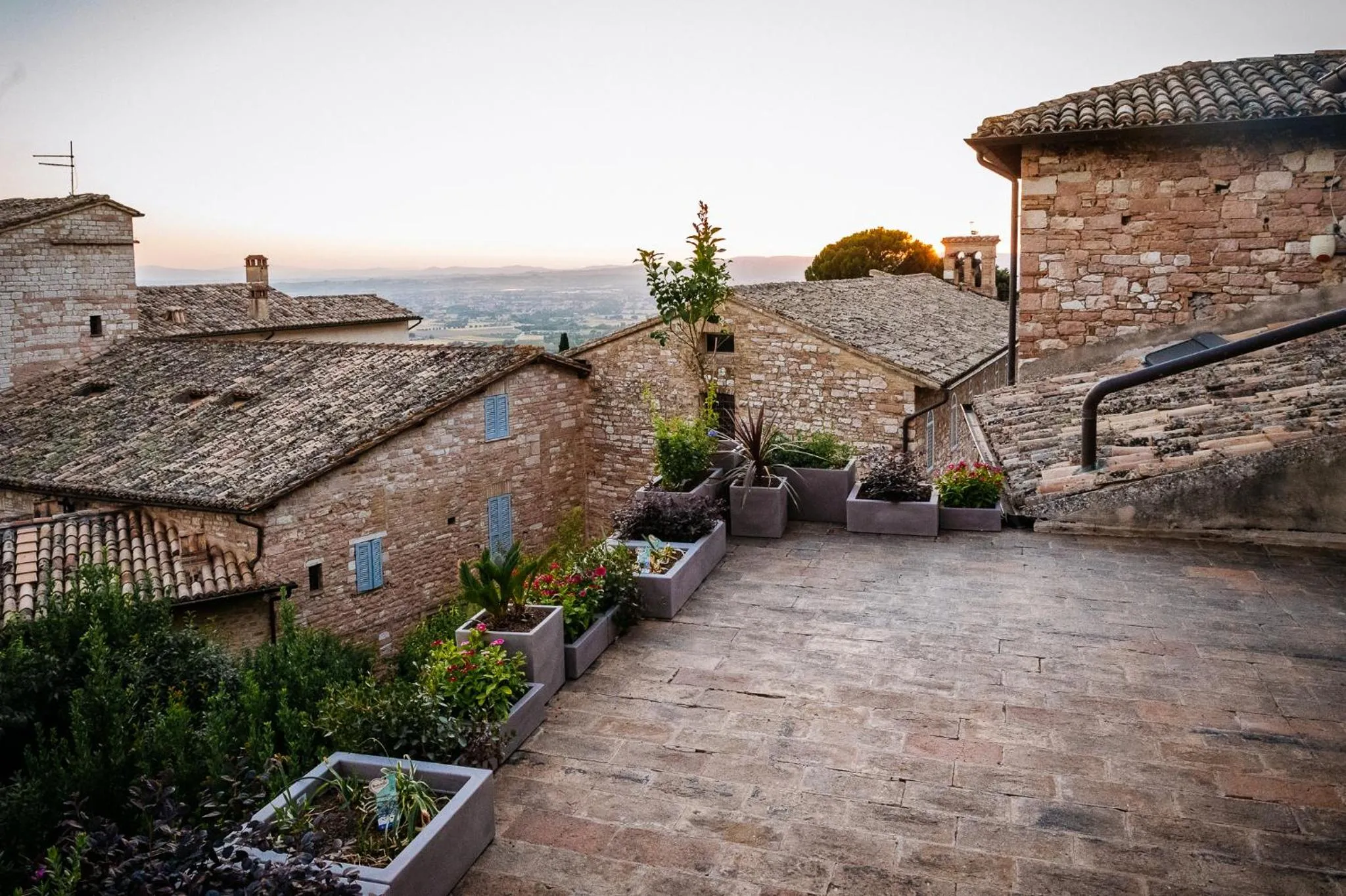 Roof Garden Rooms