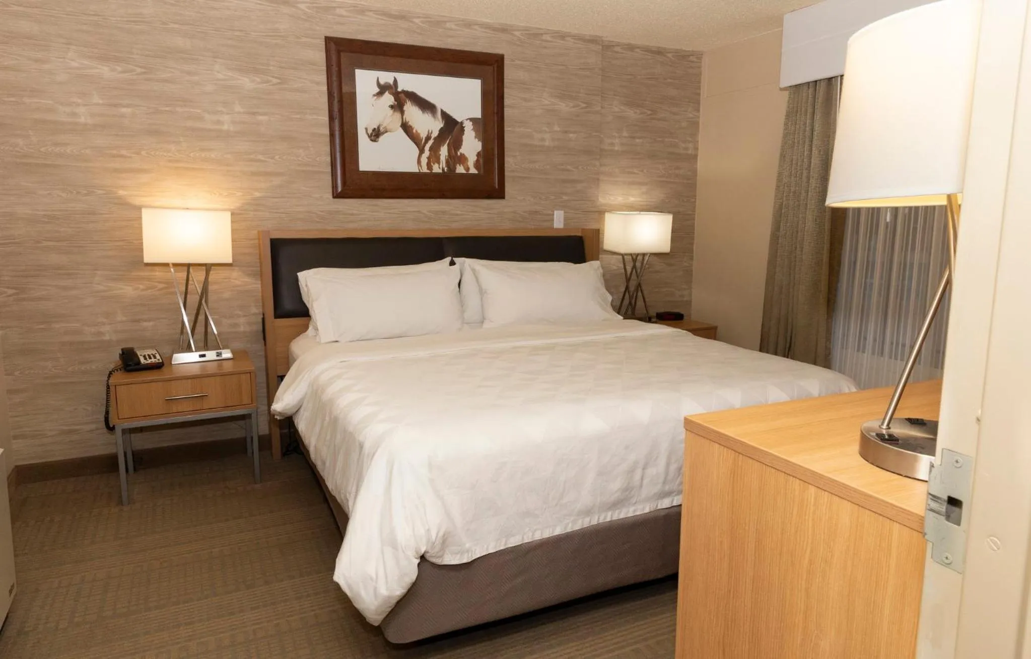Photo of the whole room, Bed in Holiday Inn Spearfish-Convention Center by IHG