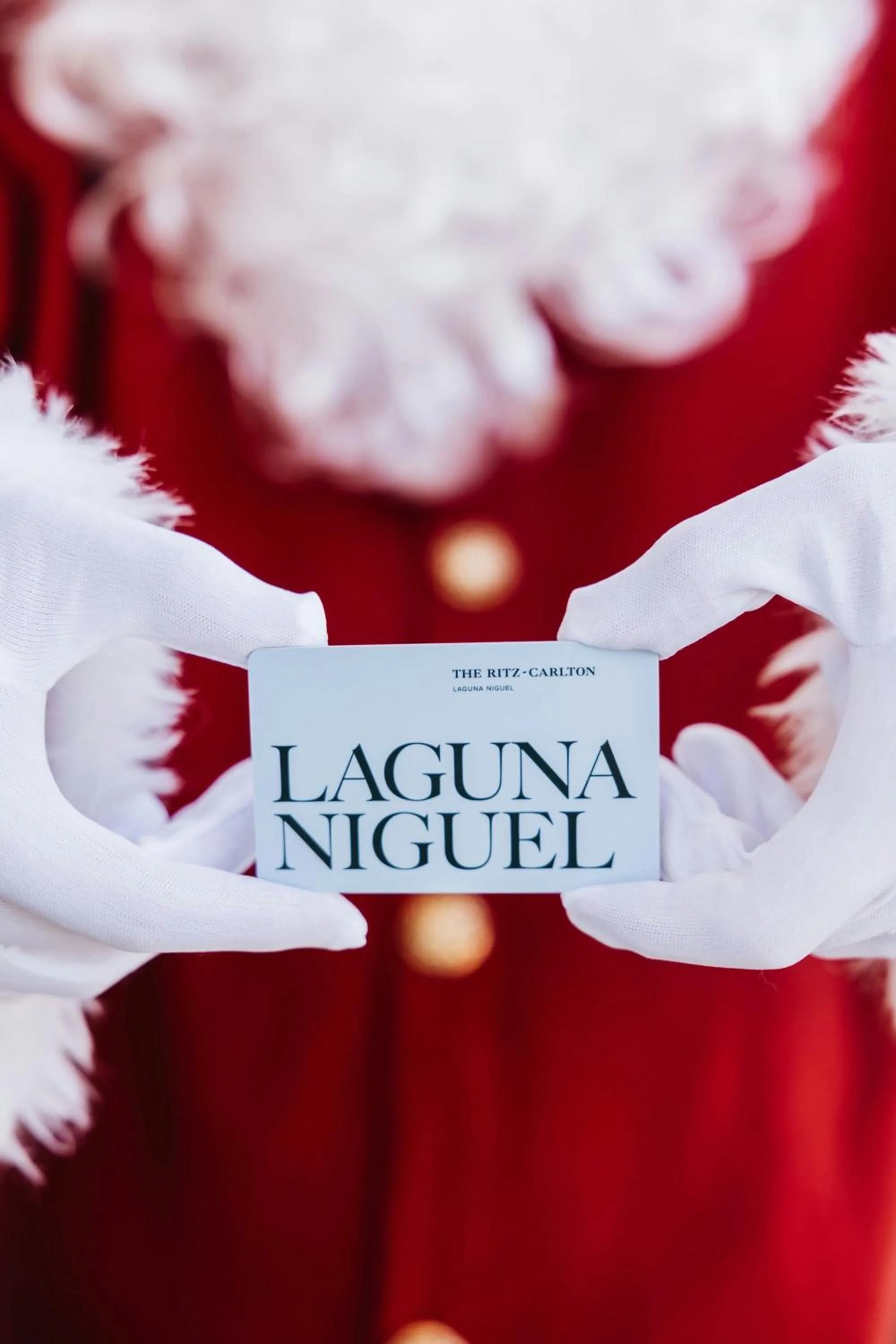 Other in The Ritz-Carlton, Laguna Niguel