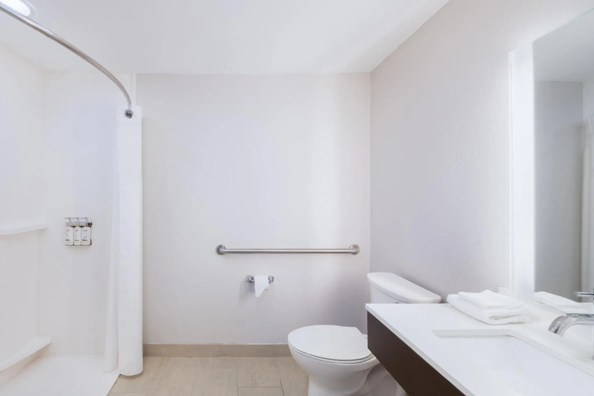 Bathroom in Holiday Inn Express & Suites Spring Hill by IHG