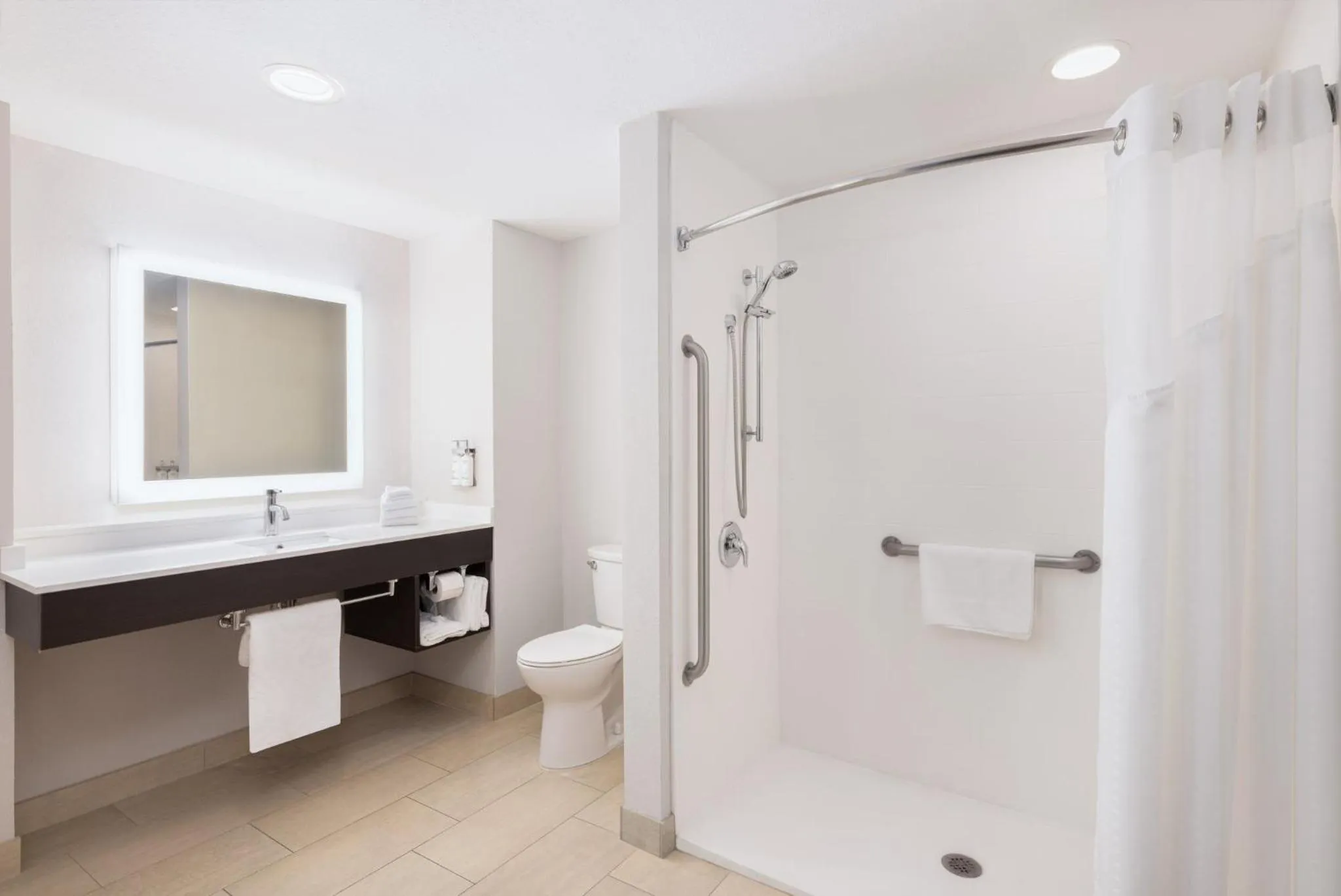 Bathroom in Holiday Inn Express & Suites Spring Hill by IHG