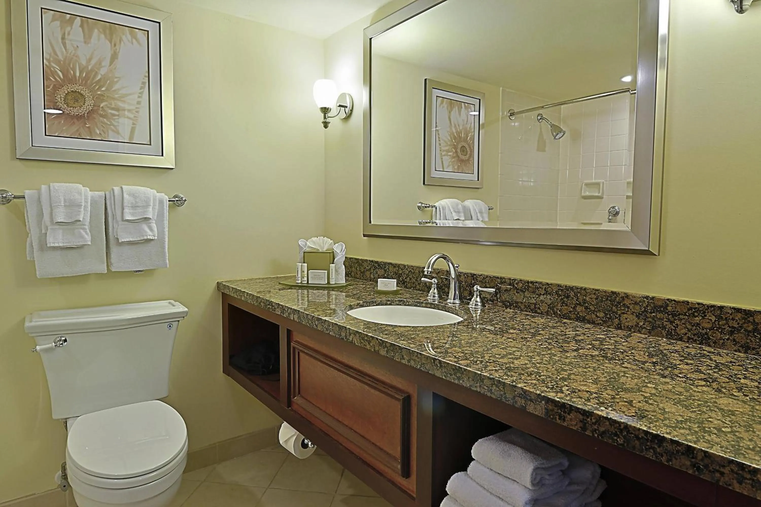 Bathroom in Courtyard by Marriott Bradenton Sarasota/Riverfront