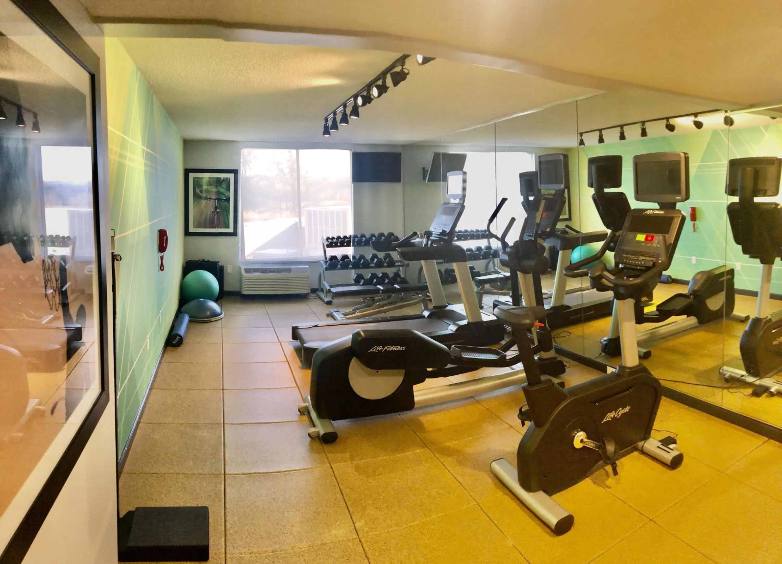 Fitness centre/facilities in Holiday Inn Staunton Conference Center by IHG