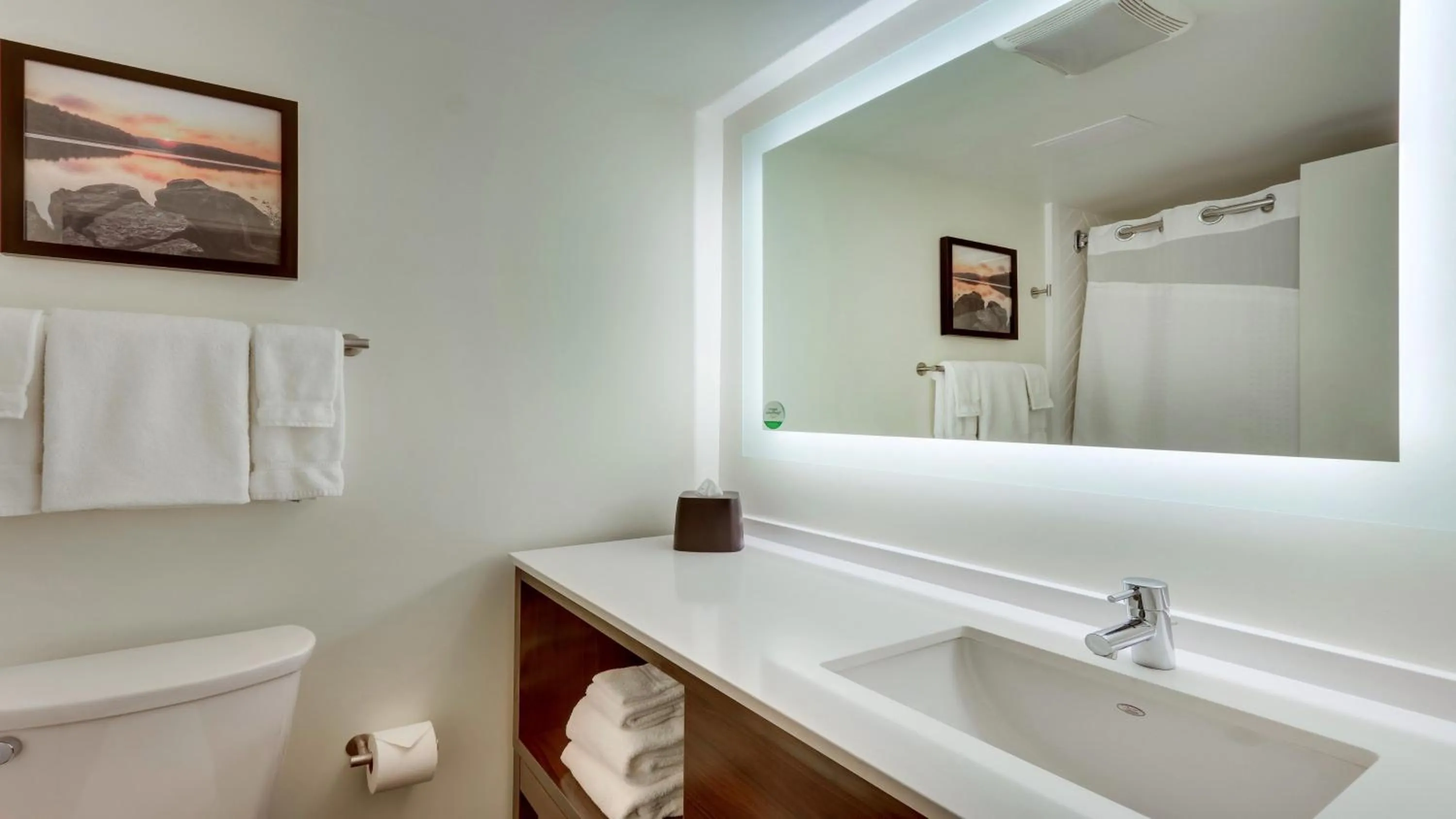 Bathroom in Holiday Inn Staunton Conference Center by IHG