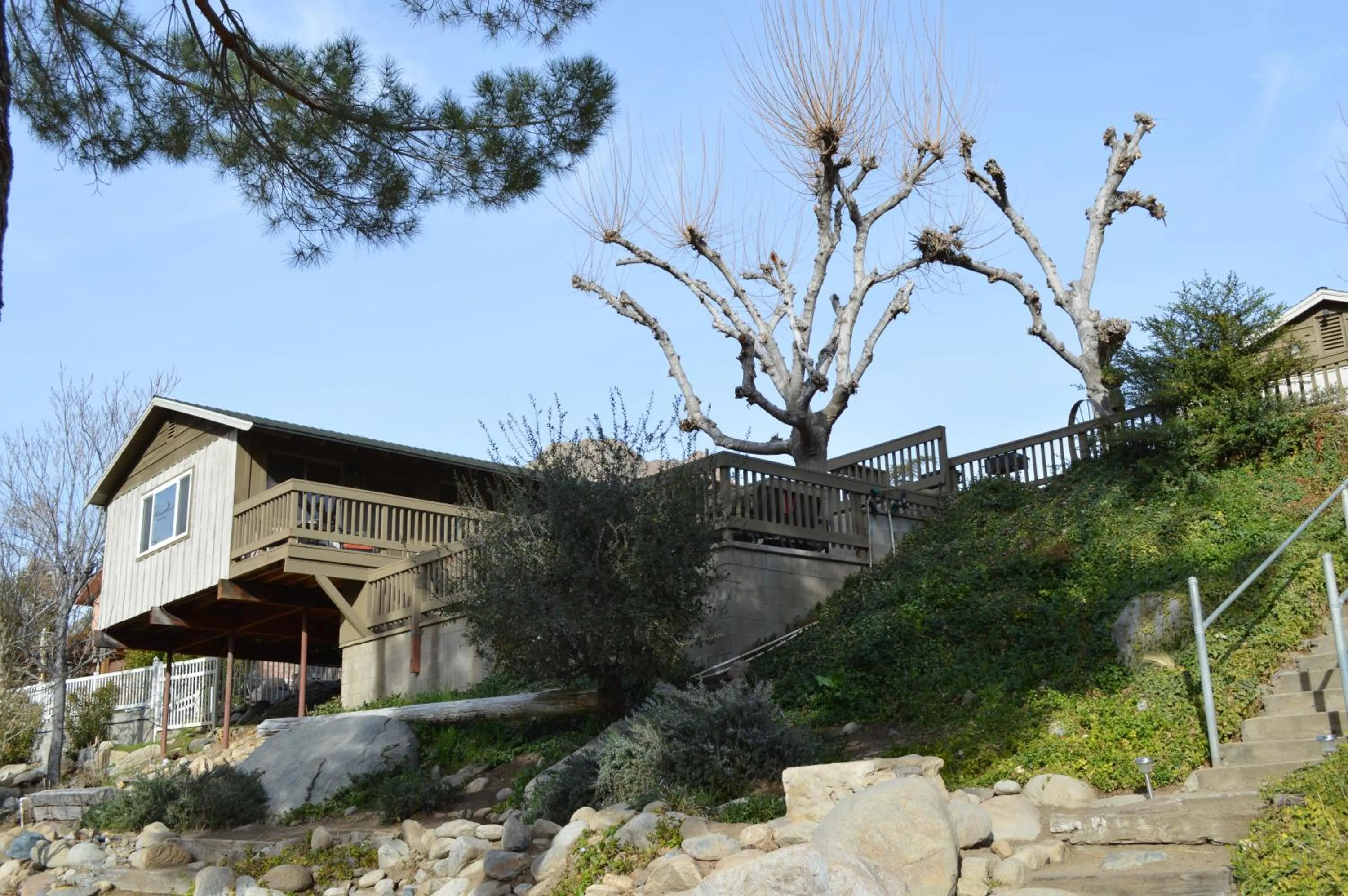 On site in Sequoia Lodge