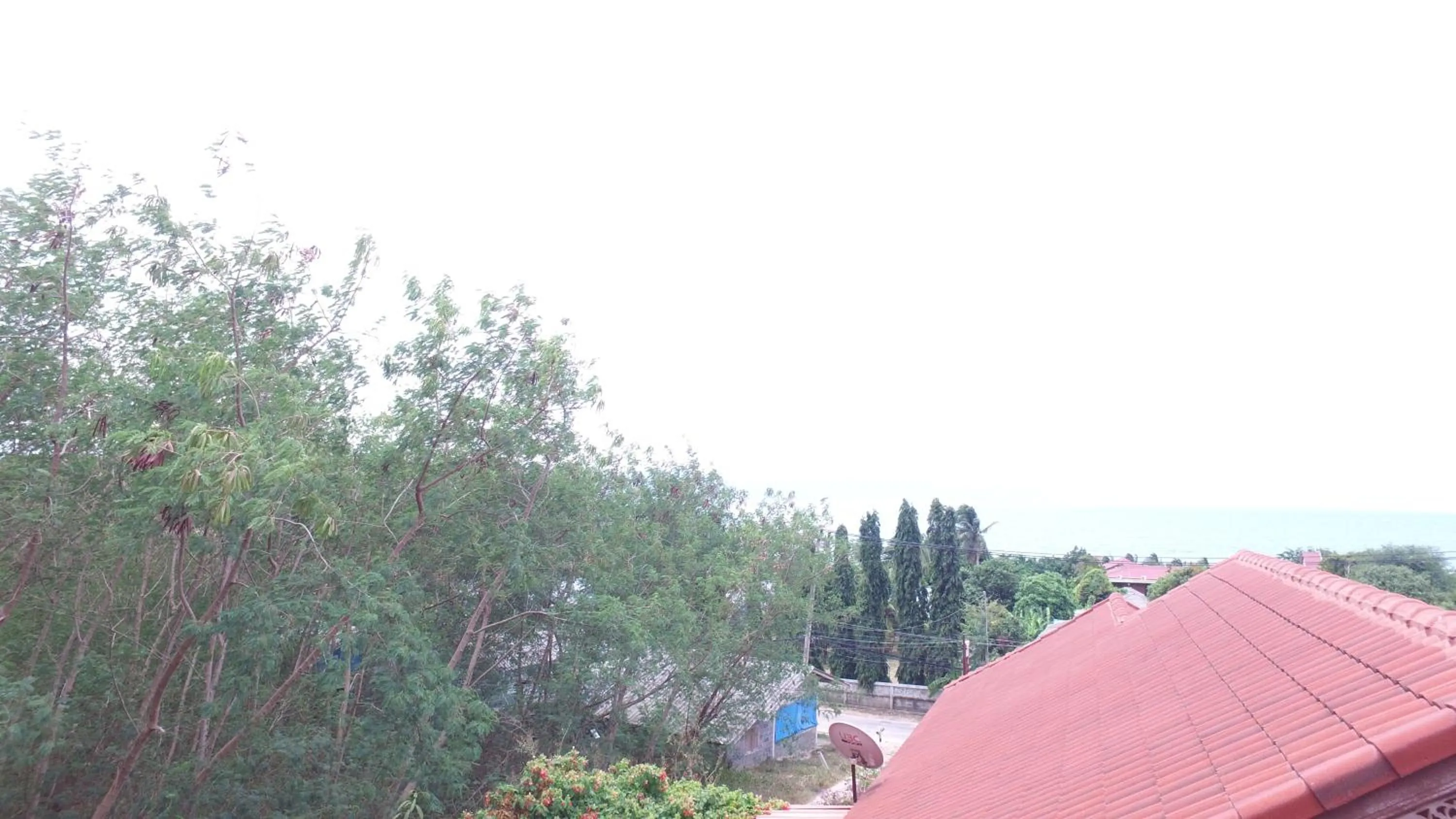 Natural landscape in Tanyaporn House