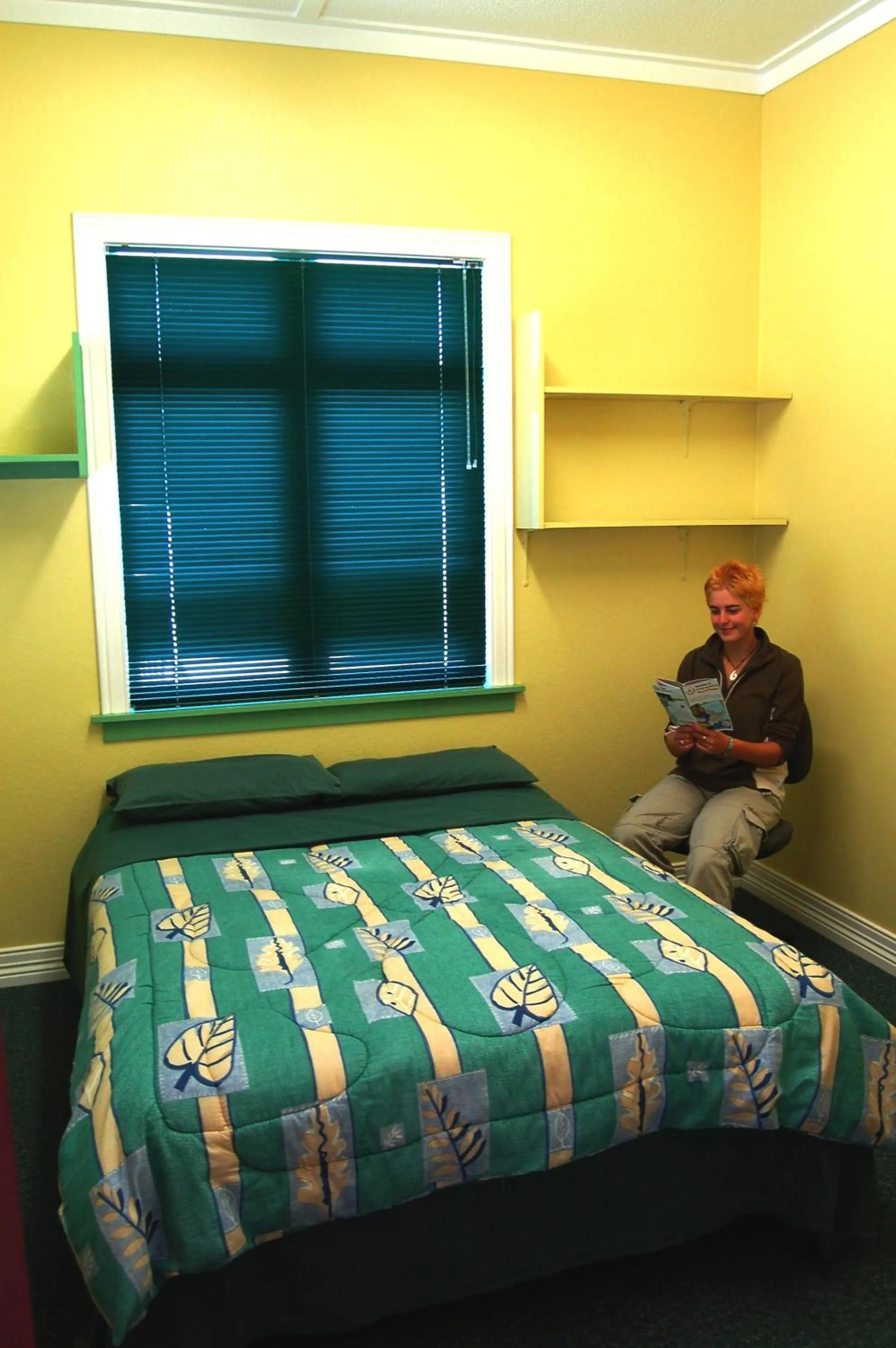 Bed in Egmont Eco Leisure Park & Backpackers