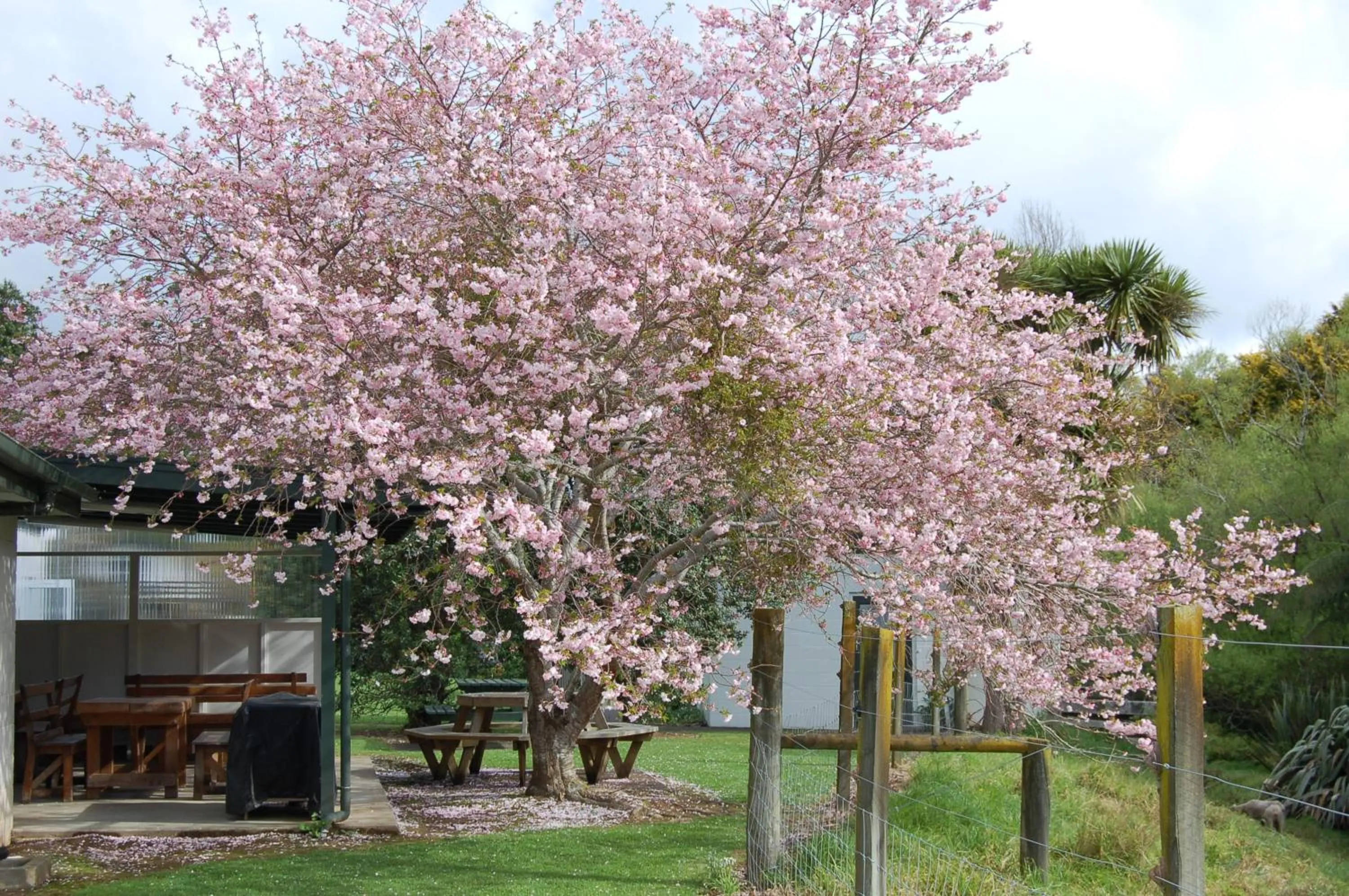 Egmont Eco Leisure Park & Backpackers