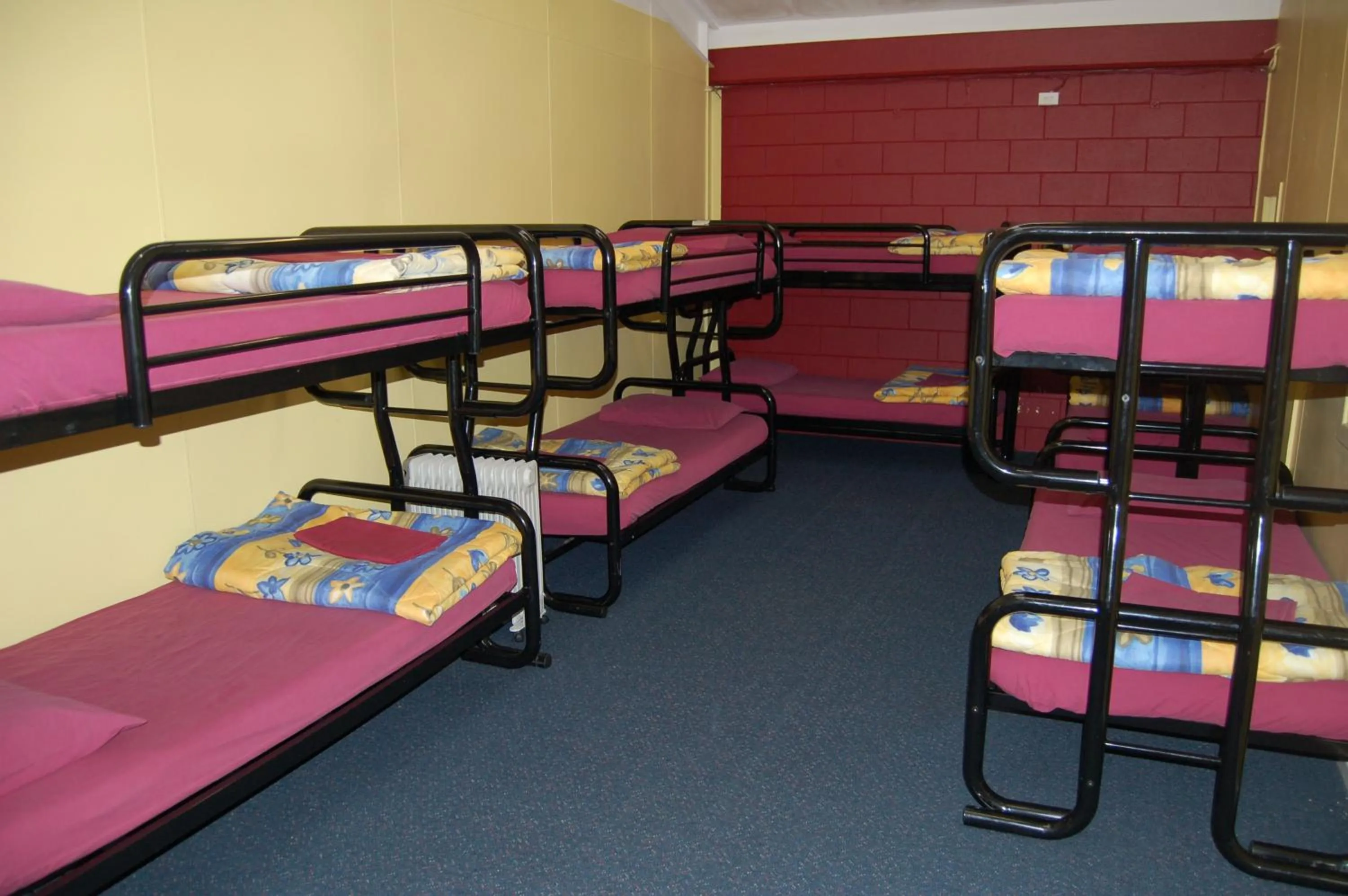 bunk bed, Bed in Egmont Eco Leisure Park & Backpackers