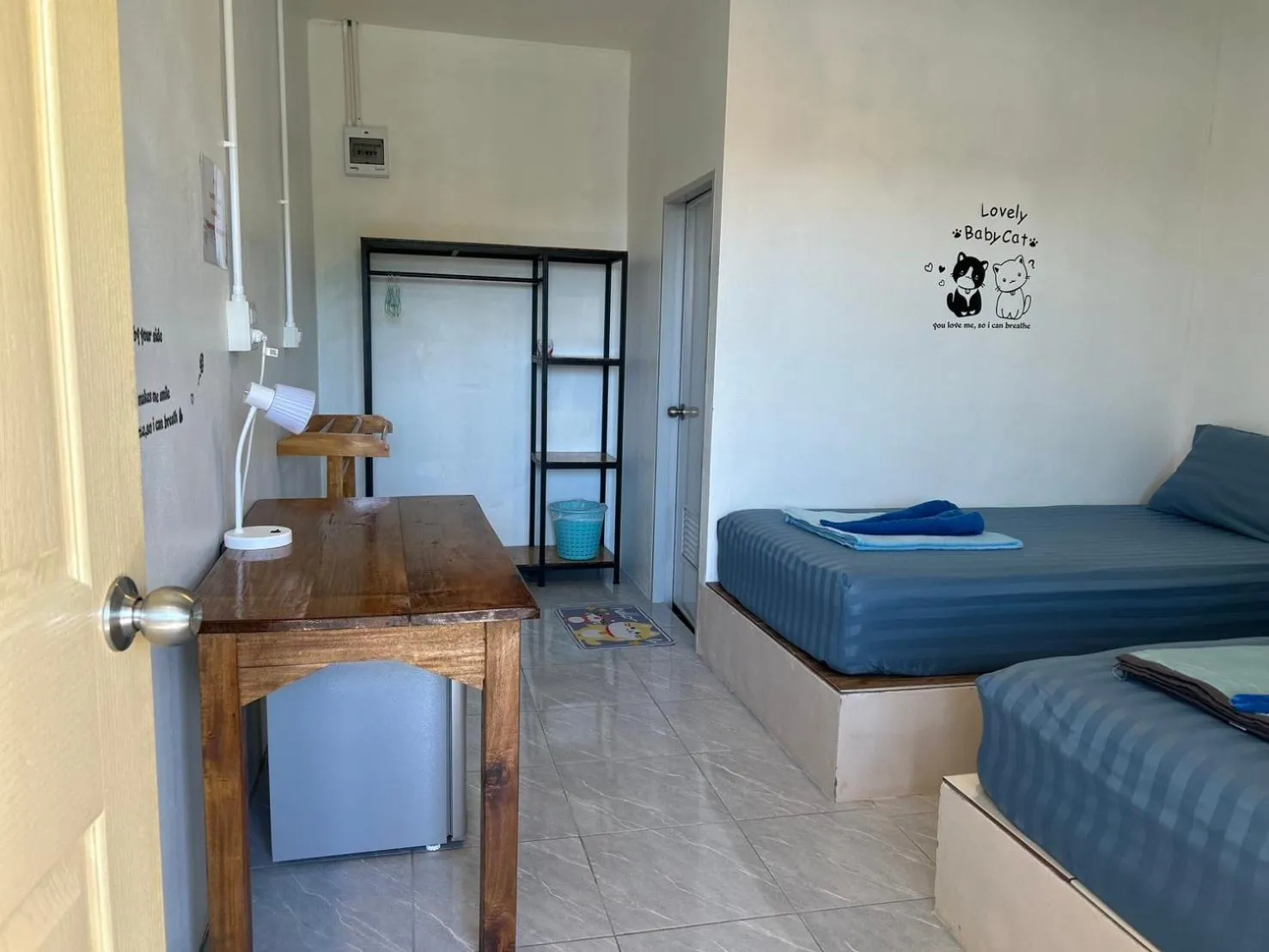 Area and facilities in Cat Bungalow