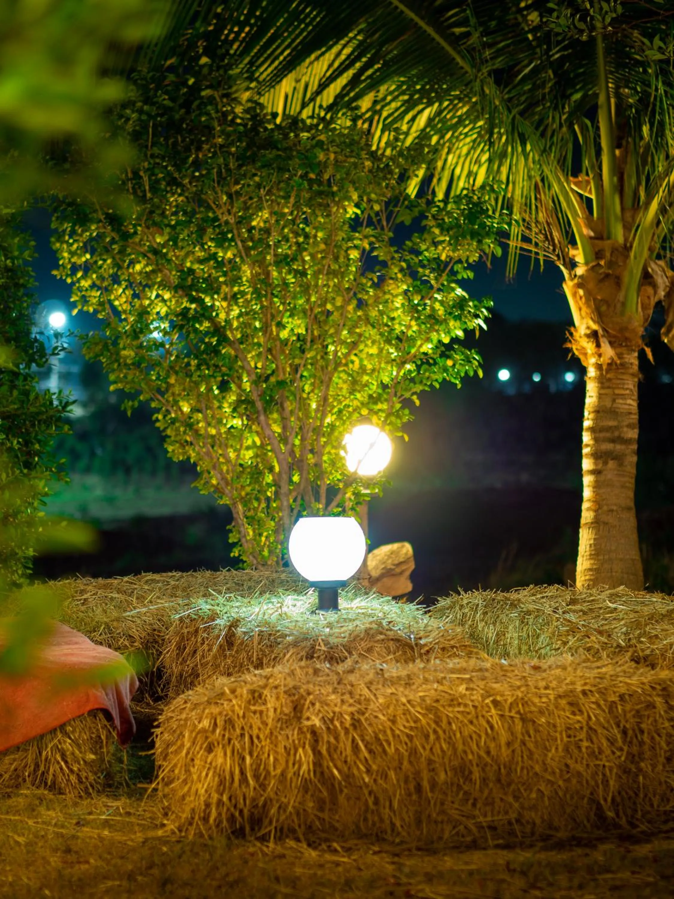 Night in Cat Bungalow