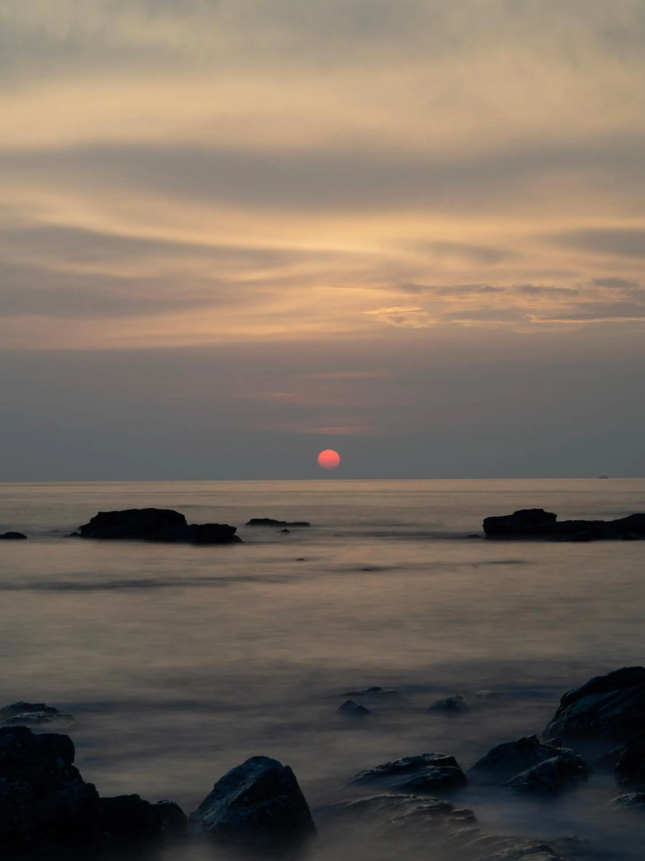 Off site in Cat Bungalow