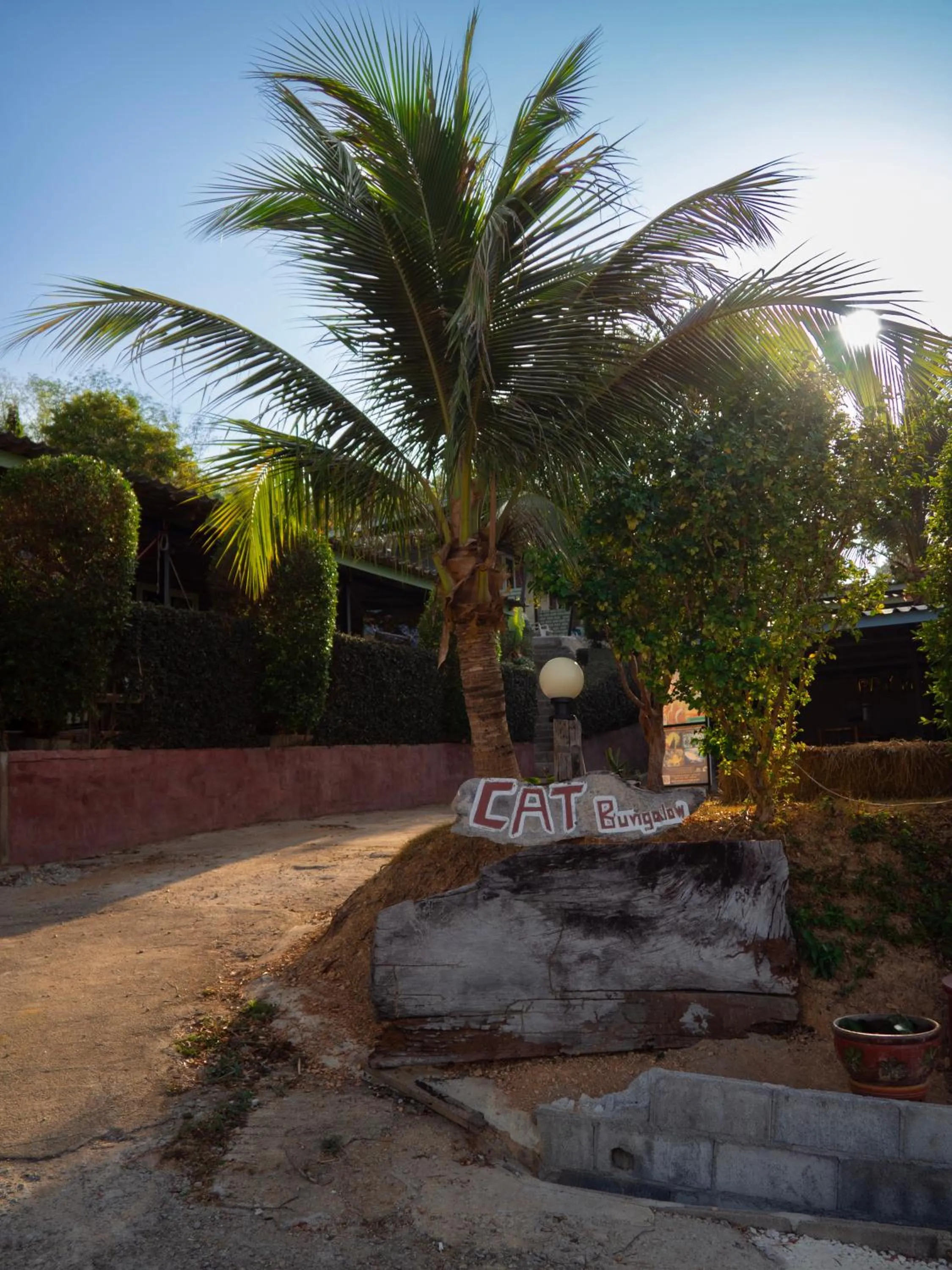 Facade/entrance in Cat Bungalow