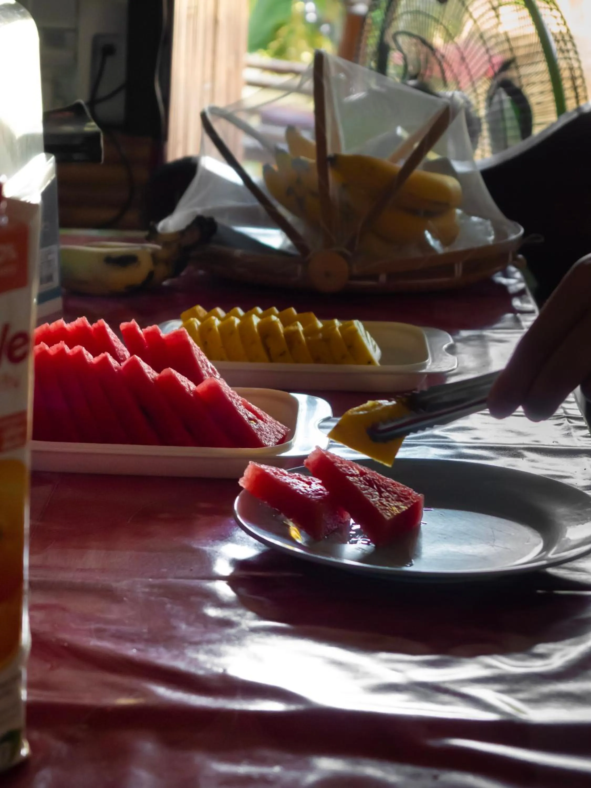 Breakfast in Cat Bungalow