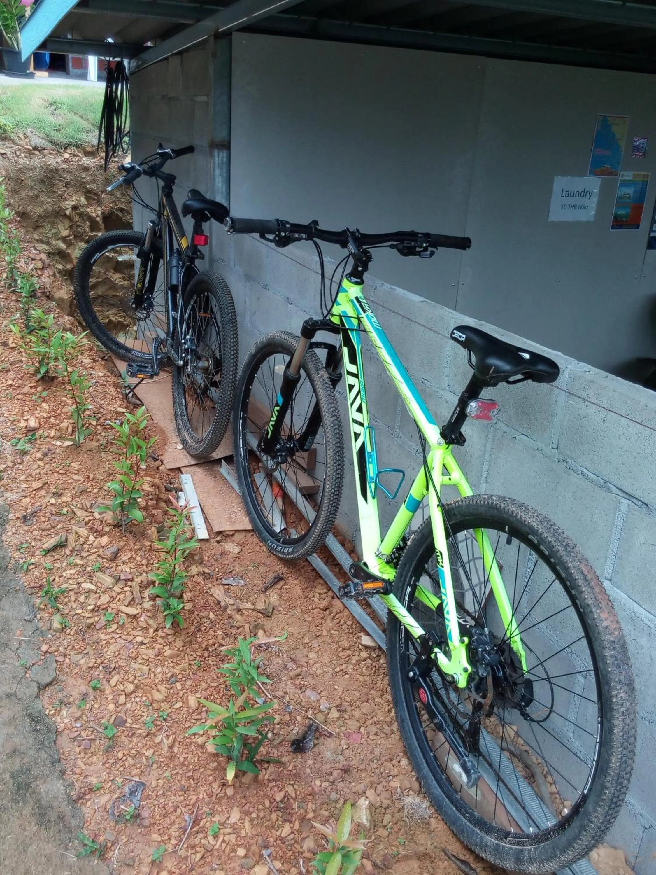 Area and facilities in Cat Bungalow