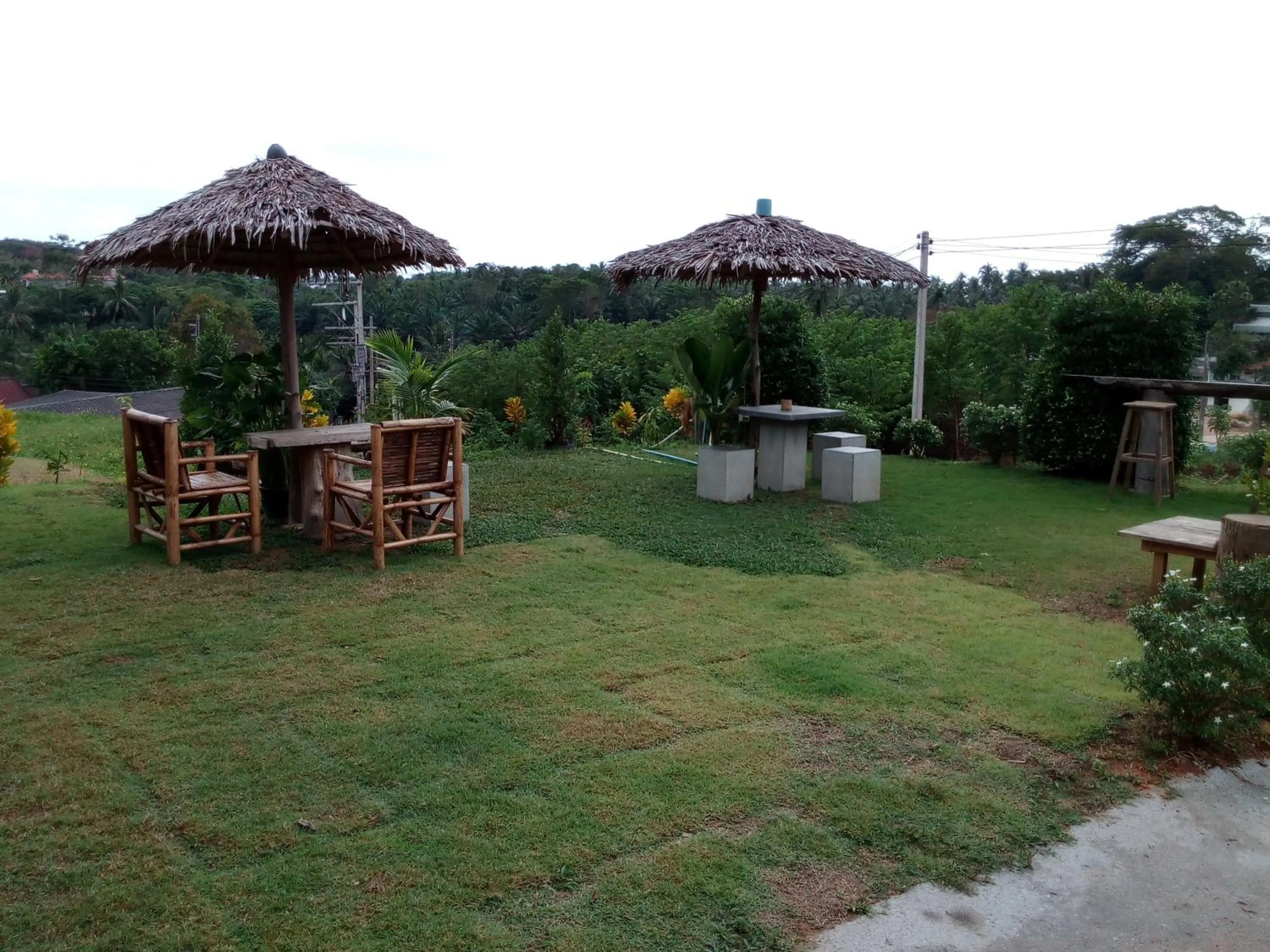 Garden in Cat Bungalow