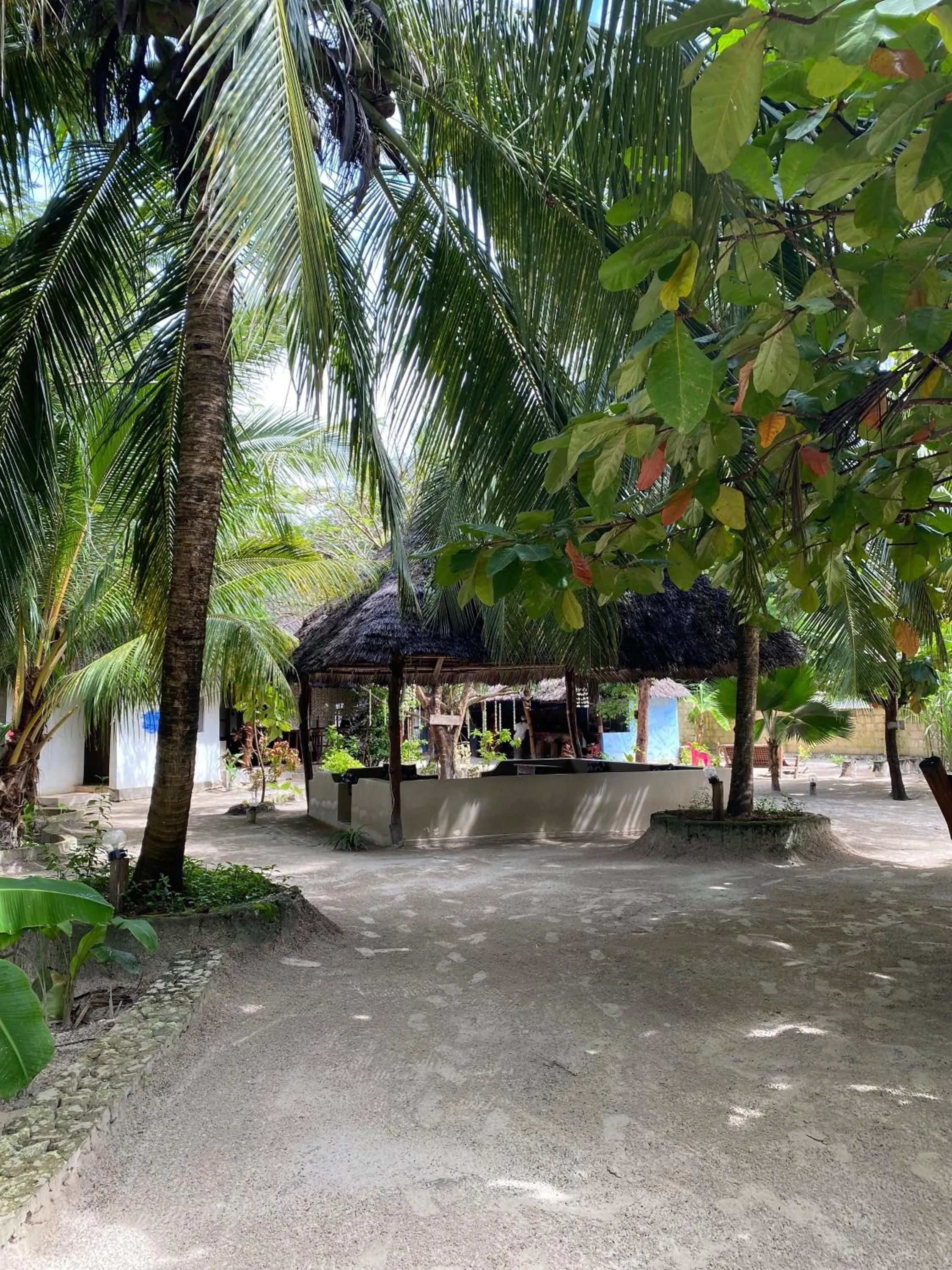 Garden in Mpole Bungalows