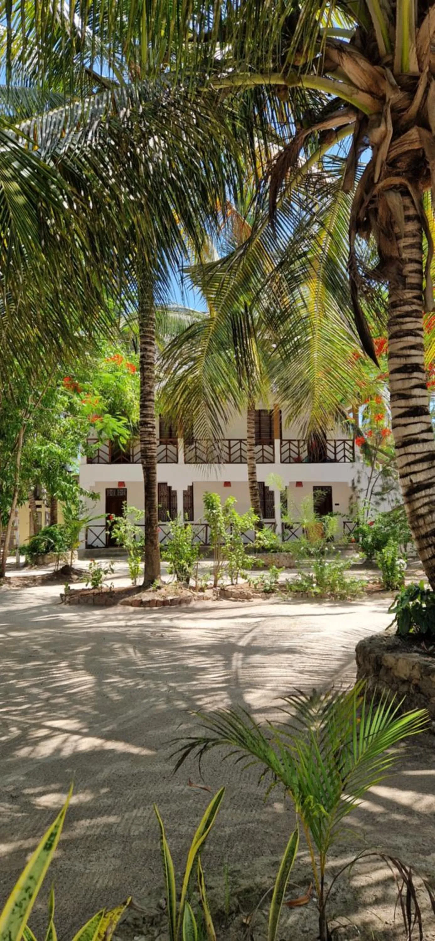 Garden view in Mpole Bungalows