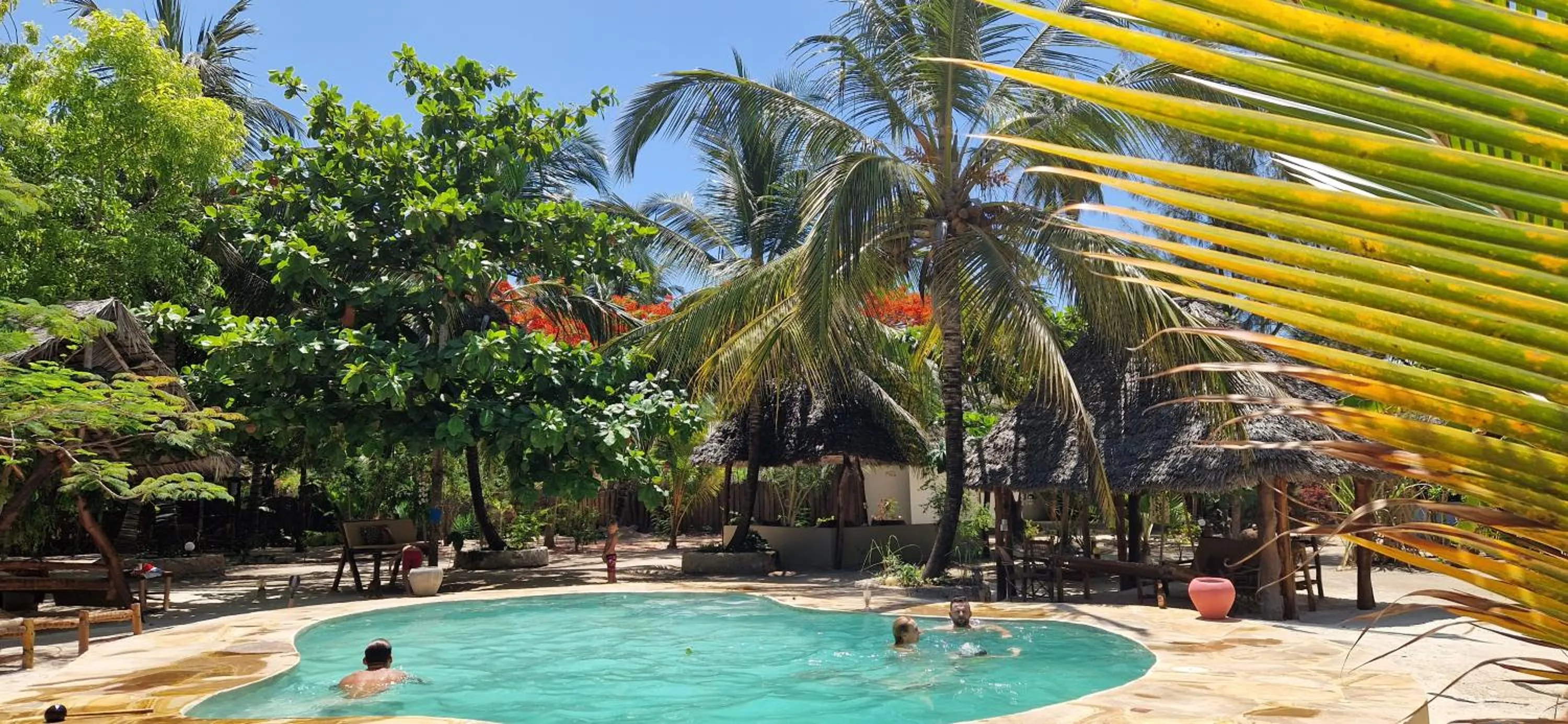 Pool view in Mpole Bungalows
