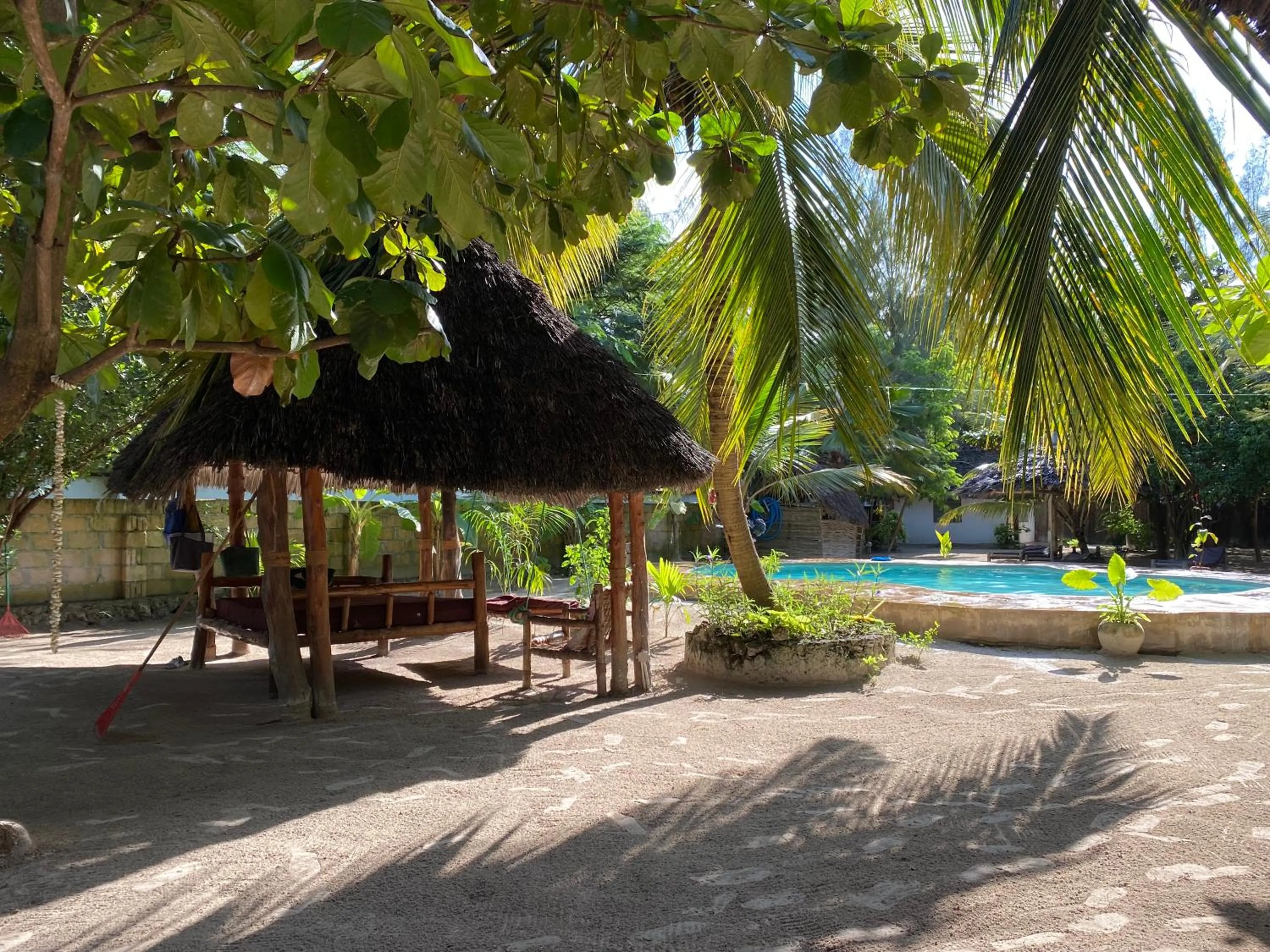 Garden in Mpole Bungalows