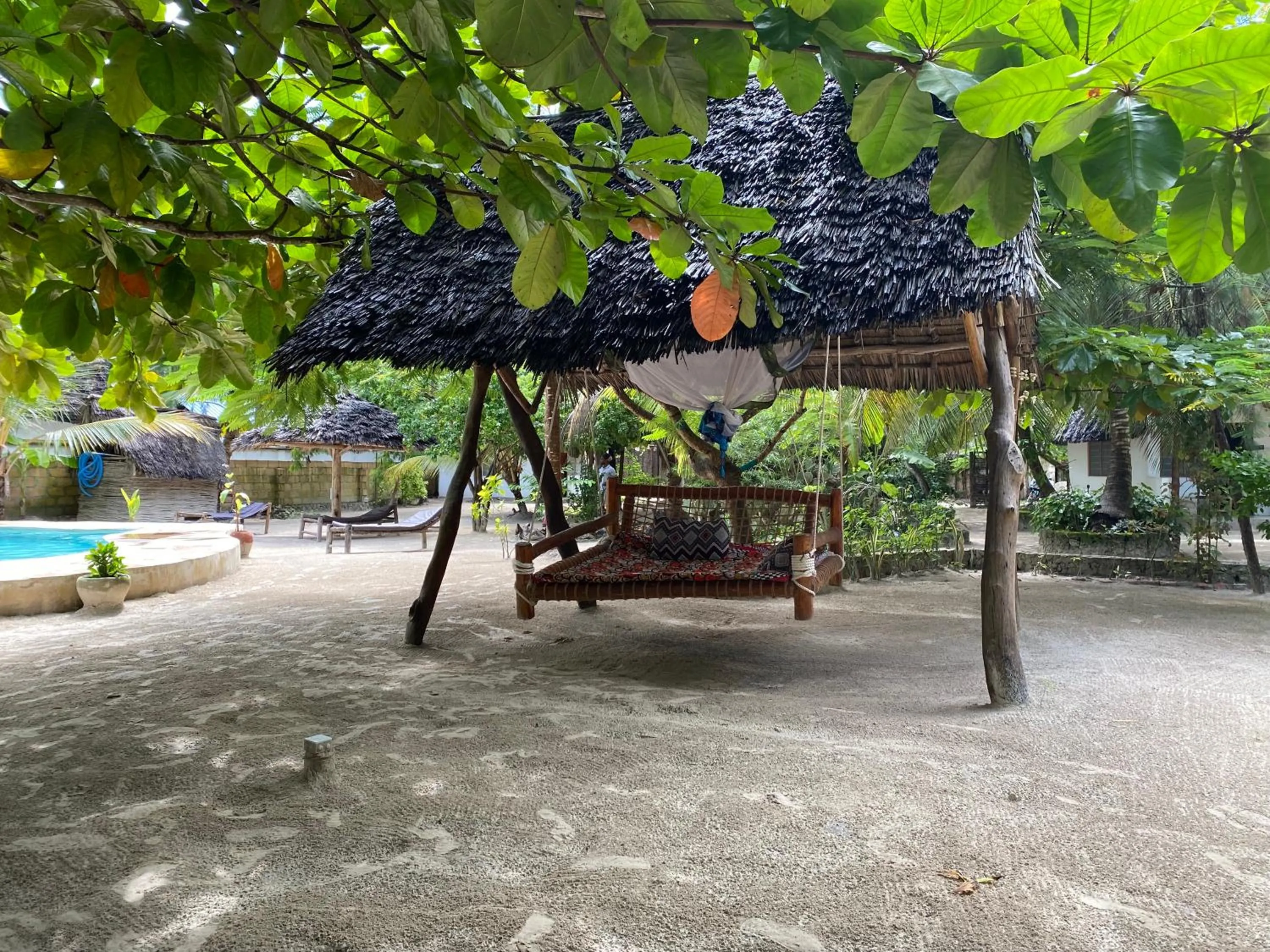 Garden in Mpole Bungalows