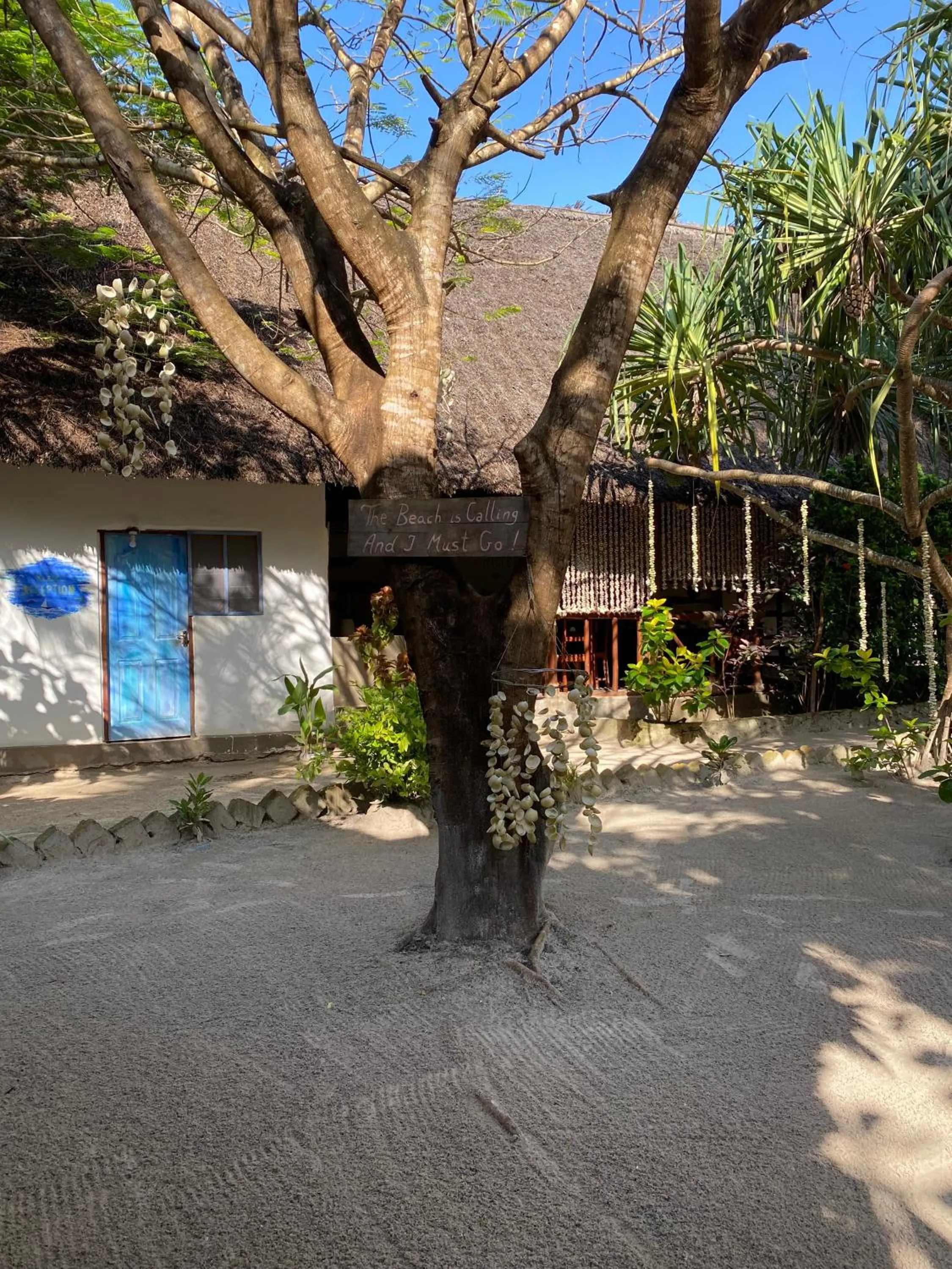 Garden in Mpole Bungalows