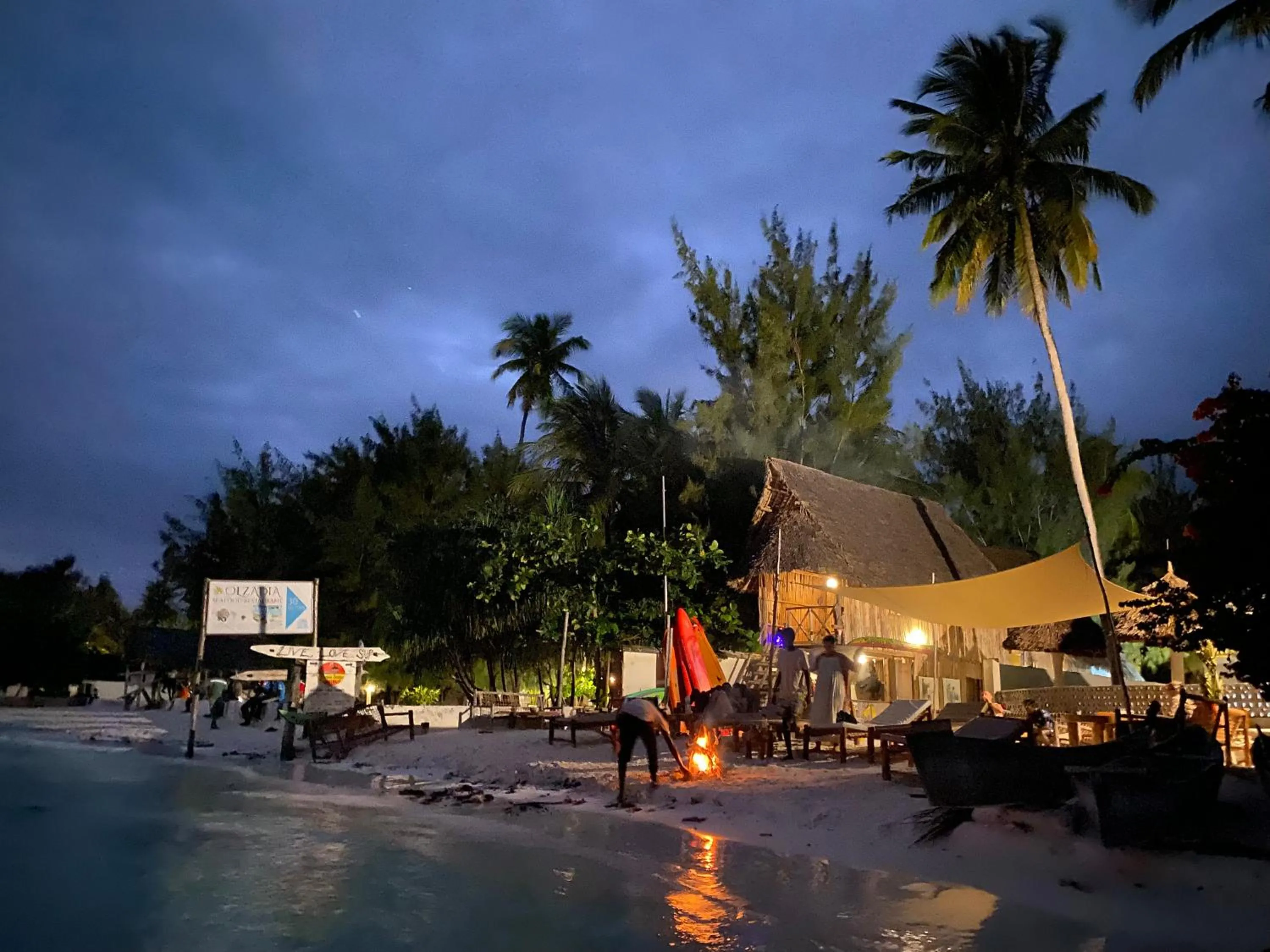 Beach in Mpole Bungalows