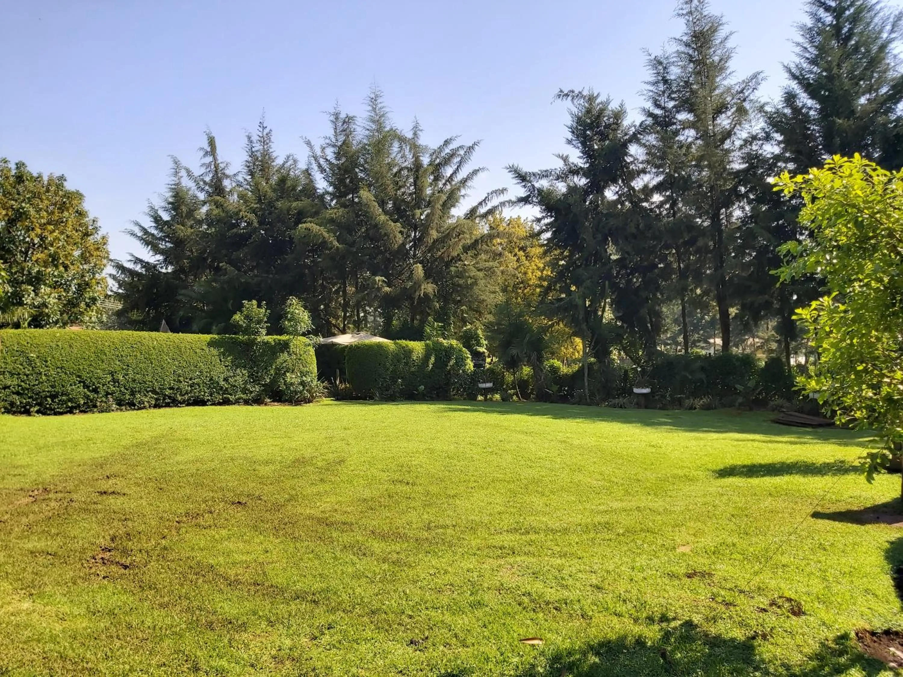 Sahara Gardens-Kericho