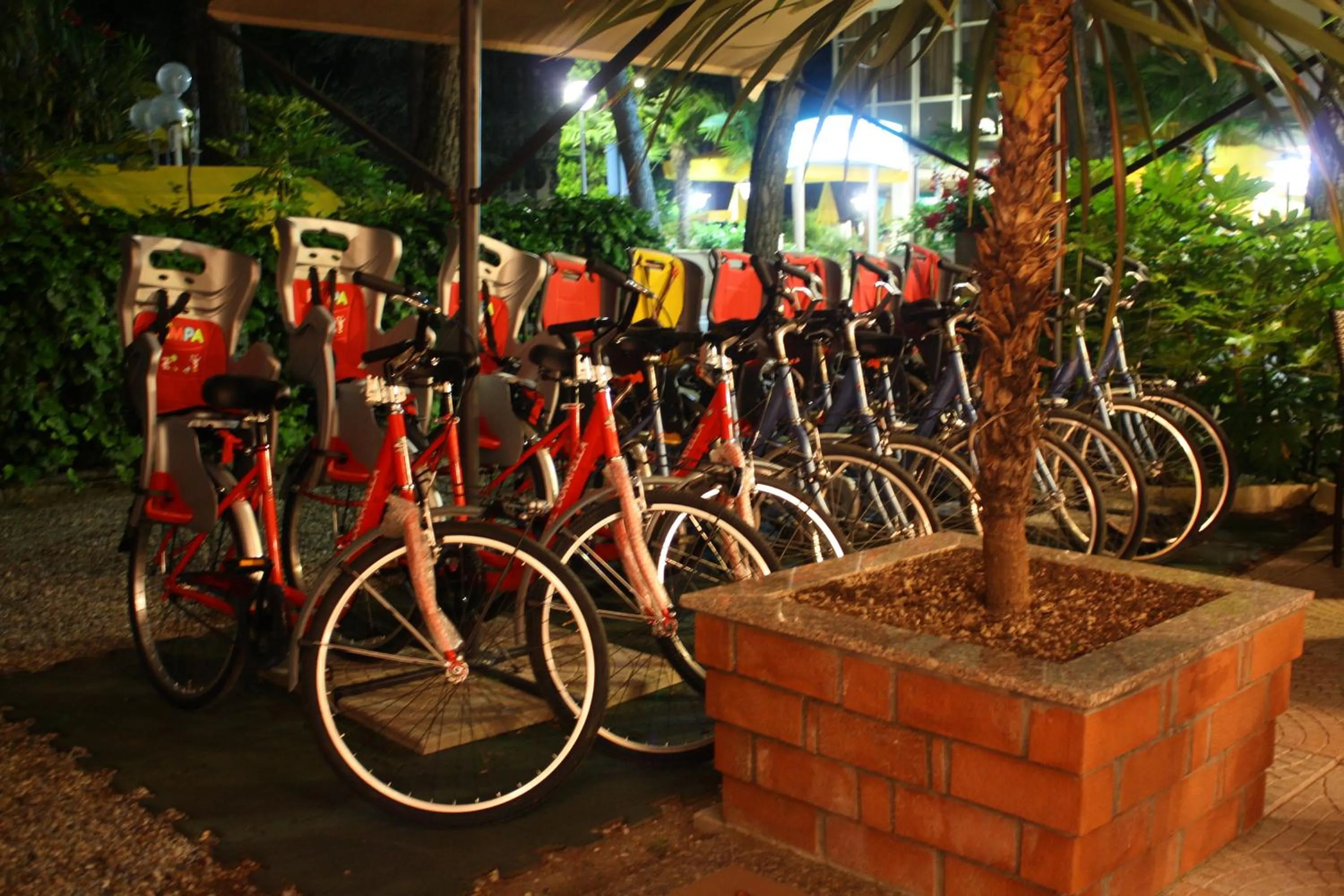 Cycling in Hotel Donatella Pinarella