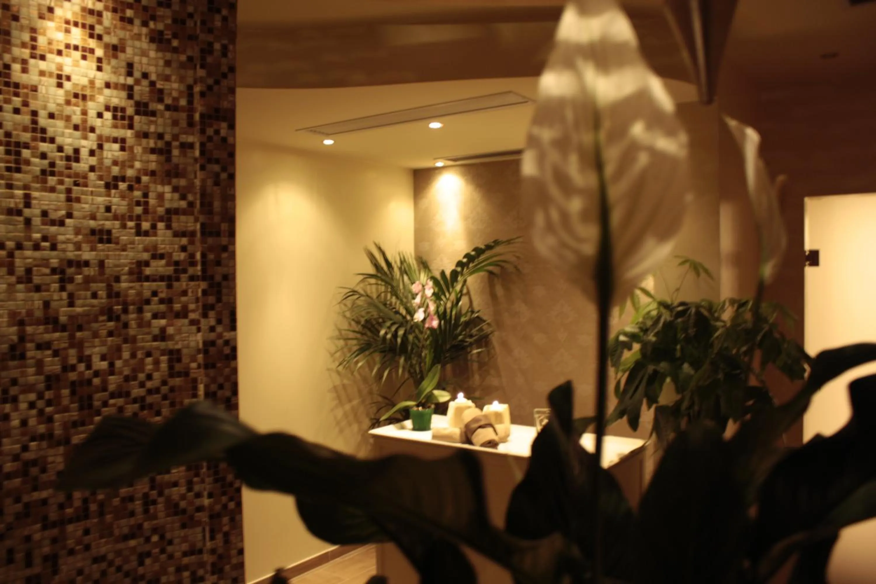 Spa and wellness centre/facilities in Hotel Donatella Pinarella