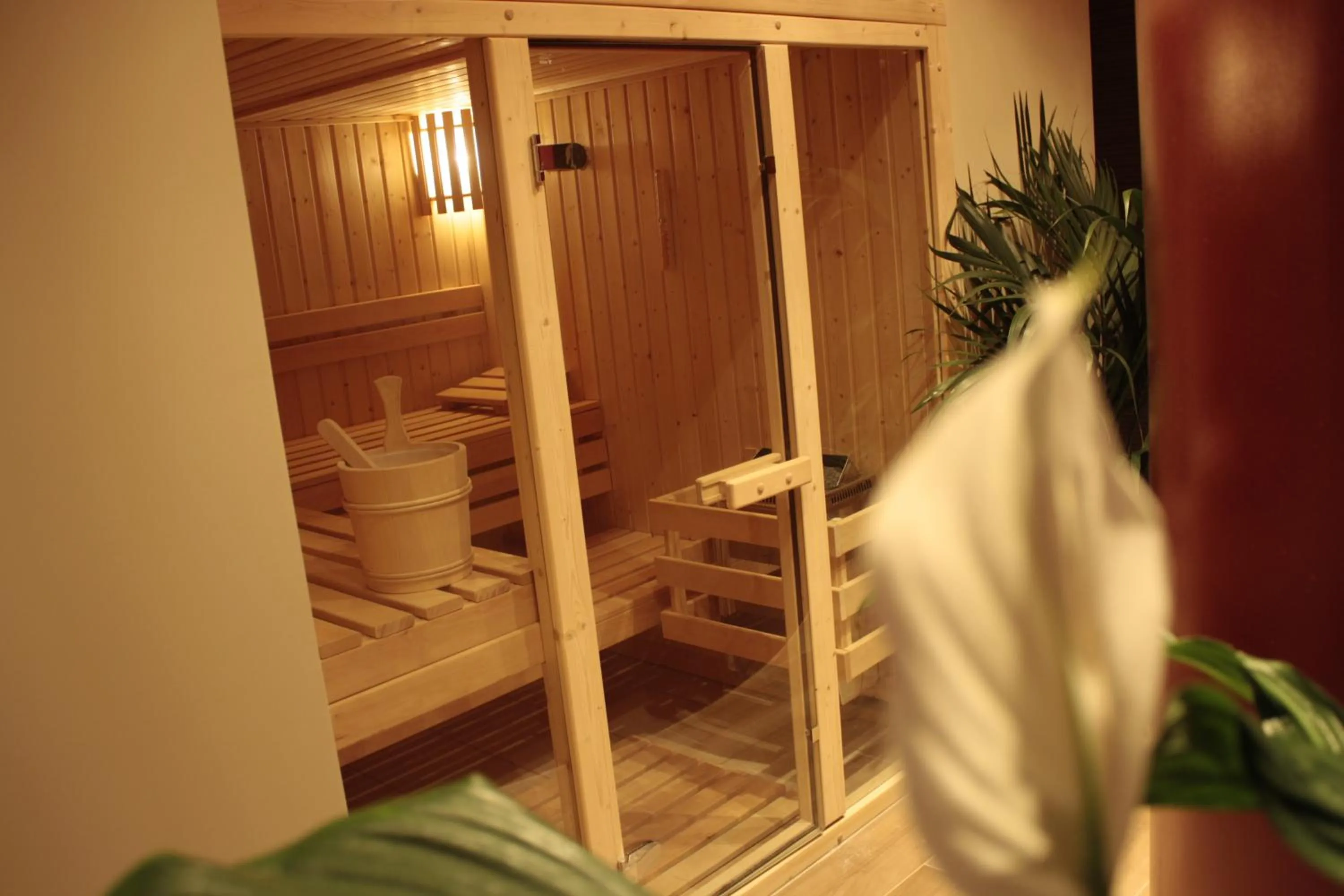 Sauna in Hotel Donatella Pinarella