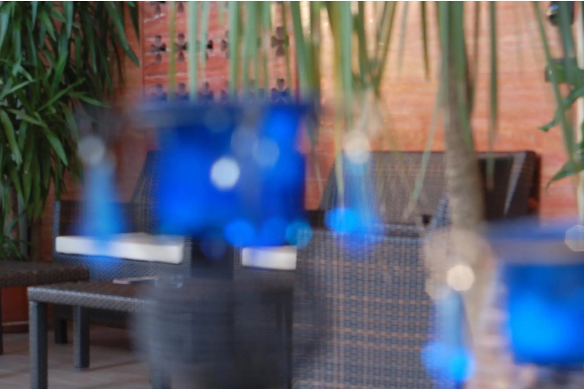 Garden in Hotel Donatella Pinarella