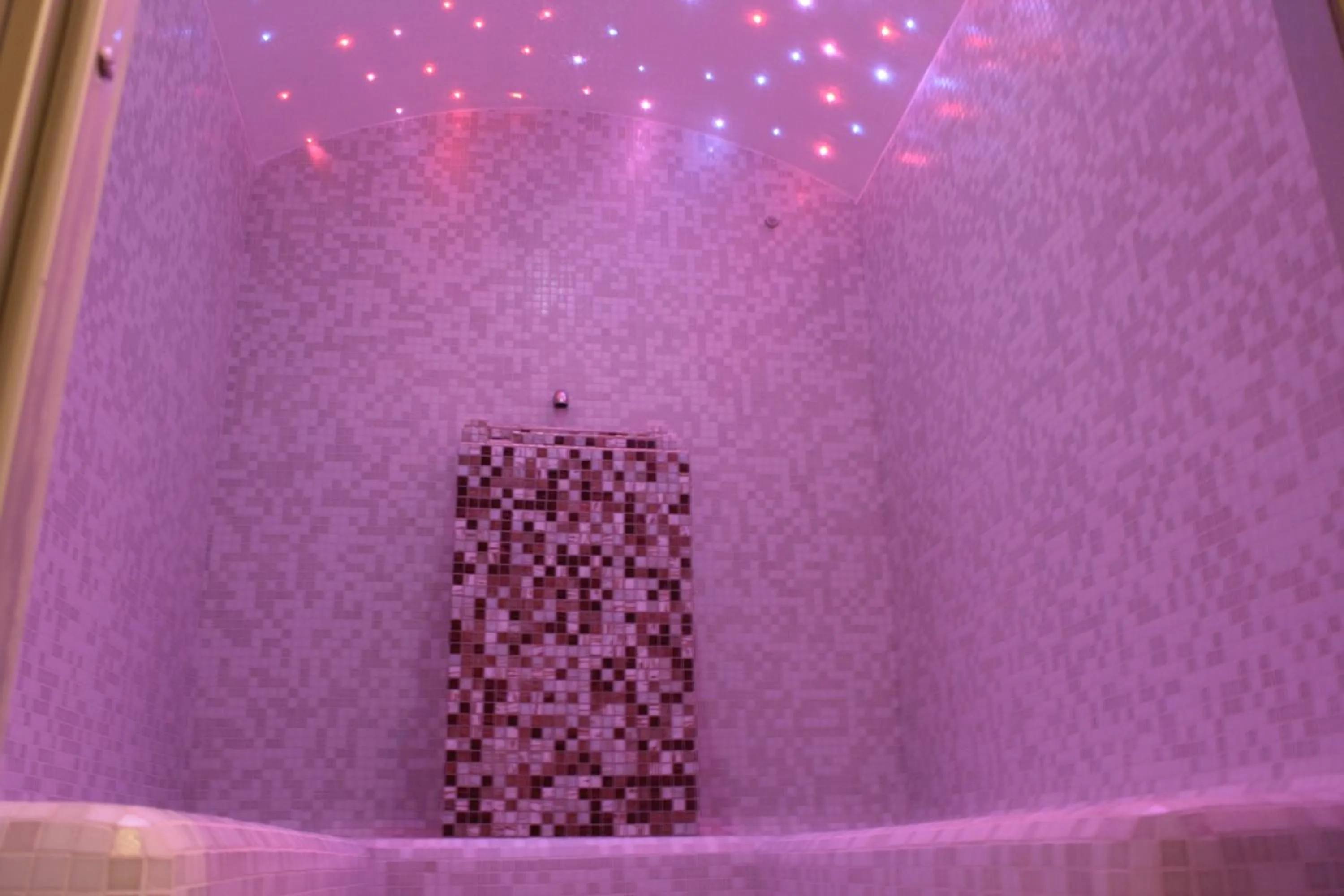 Spa and wellness centre/facilities in Hotel Donatella Pinarella