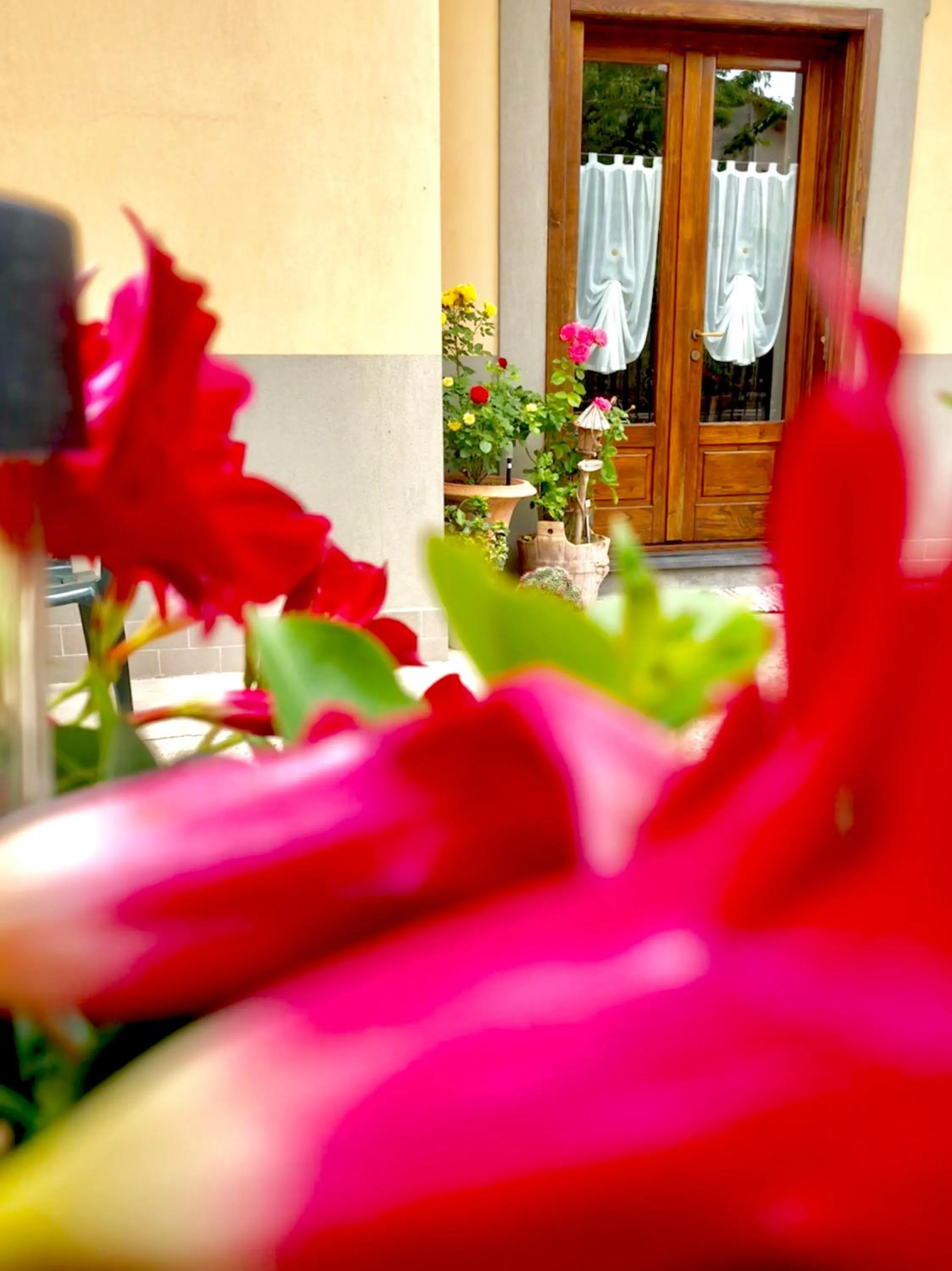 Decorative detail in Casa Gentile