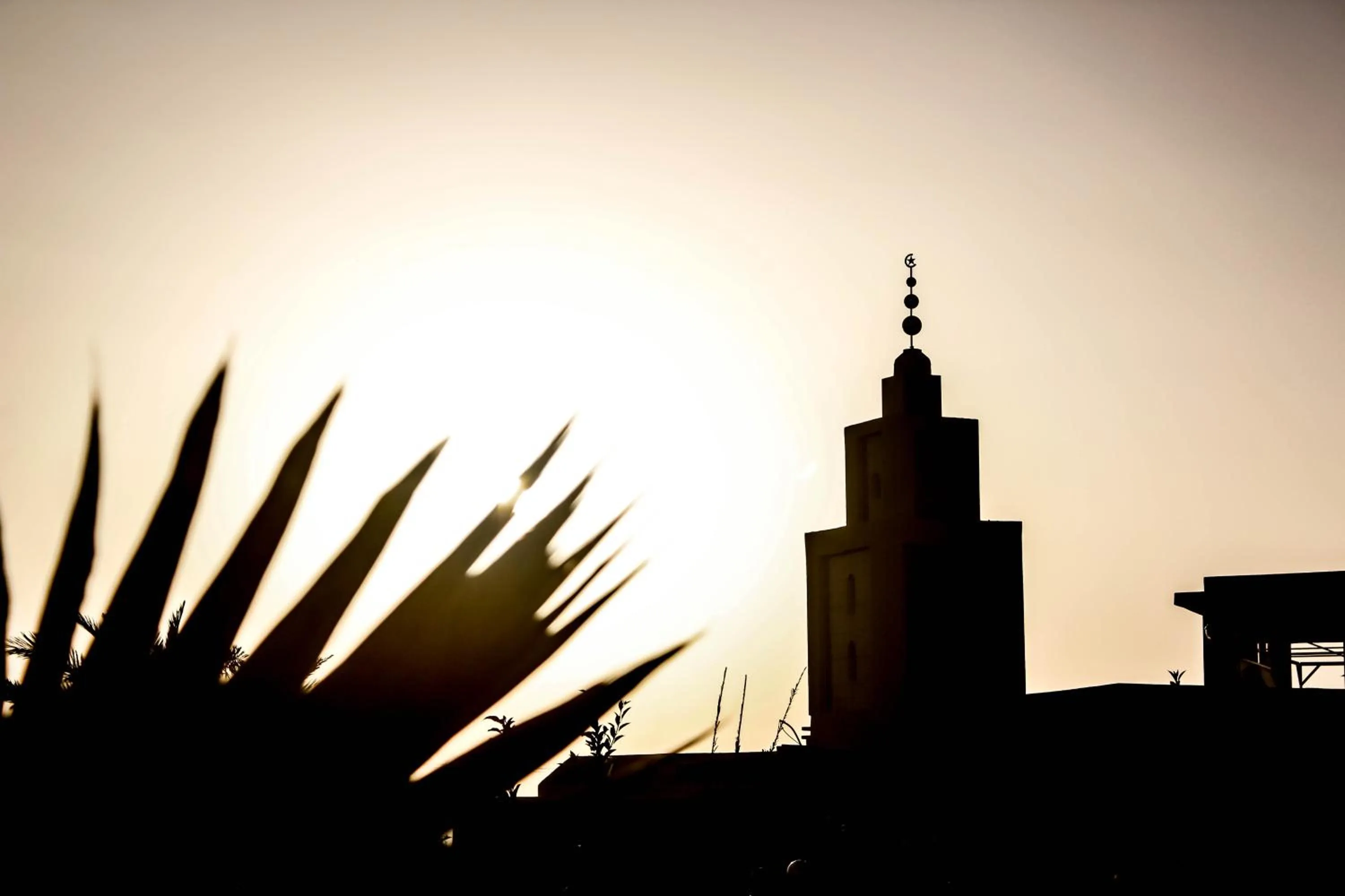 Property building in Zerad