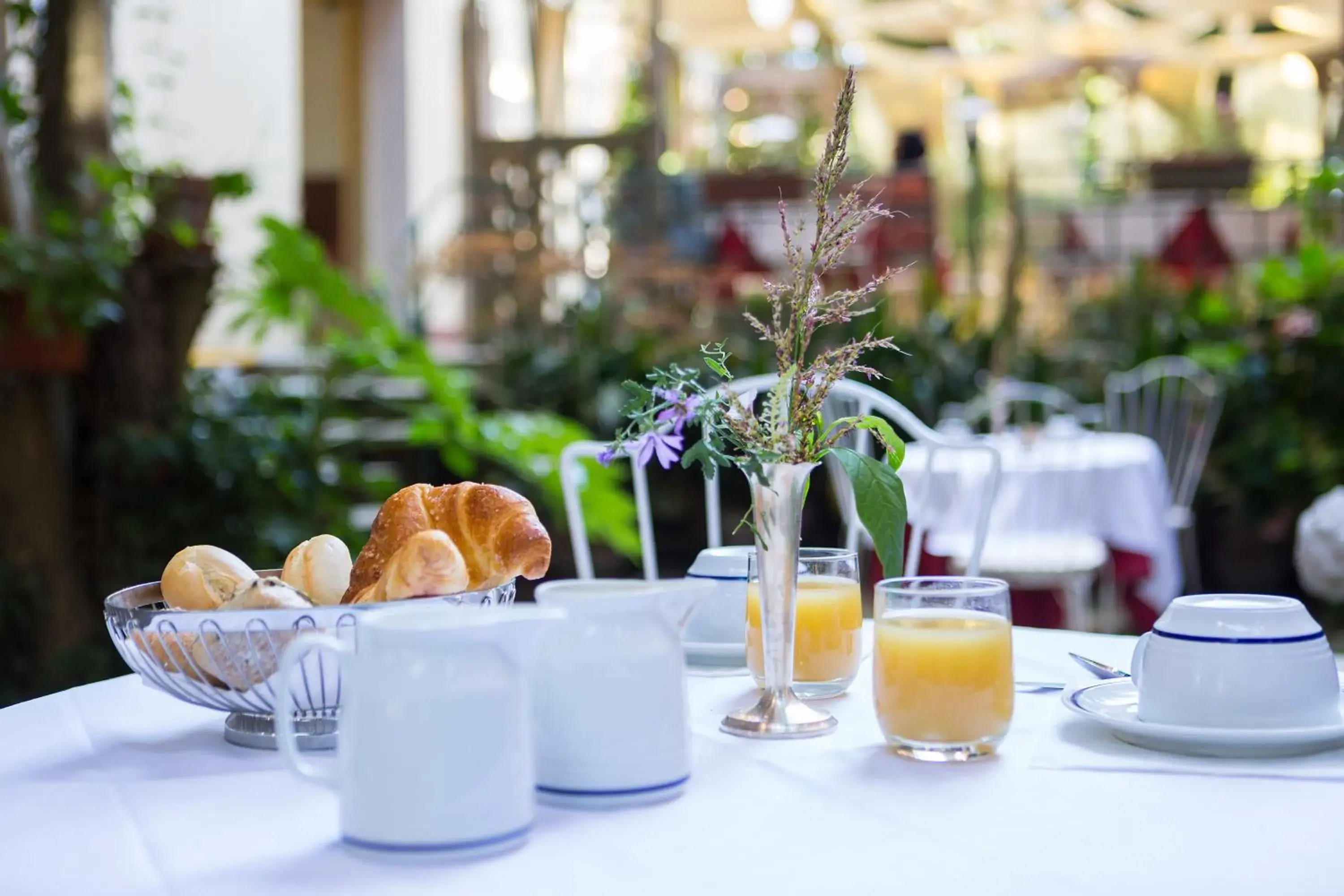 Restaurant/places to eat in Hotel Rigel Restaurant/places to eat in Hotel Rigel