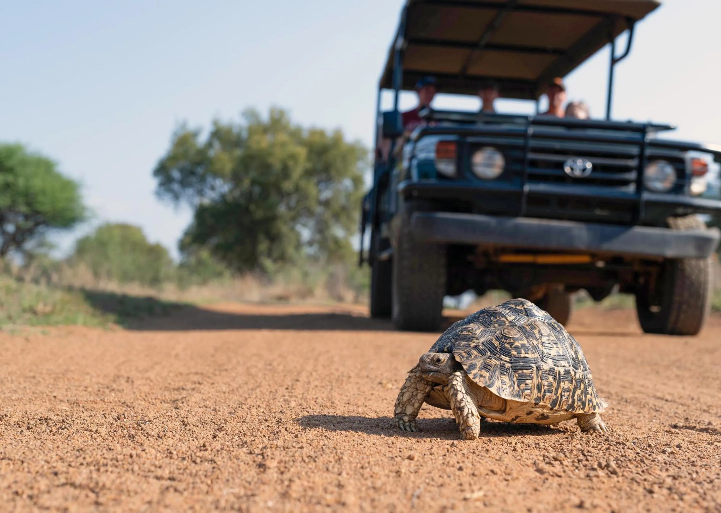 Day in Finfoot Lake Reserve by Dream Resorts