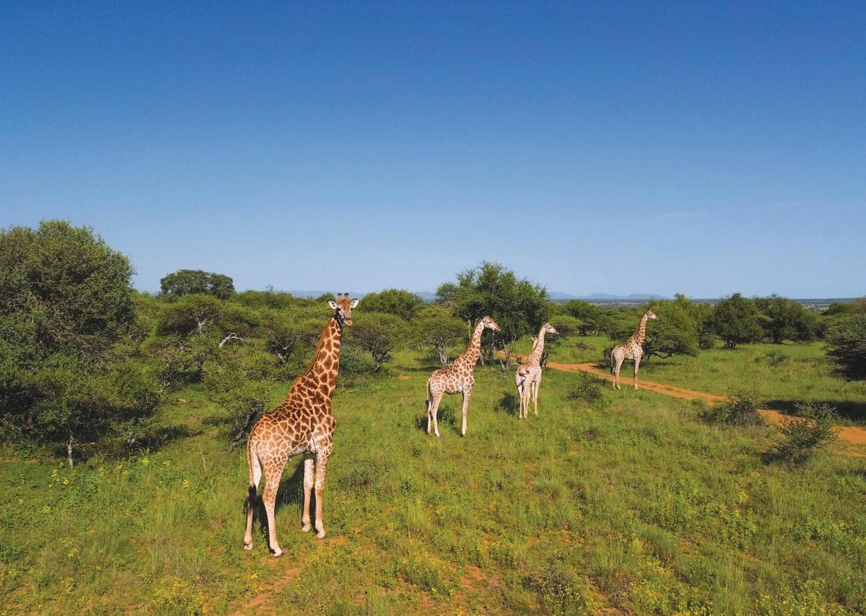 Day in Finfoot Lake Reserve by Dream Resorts