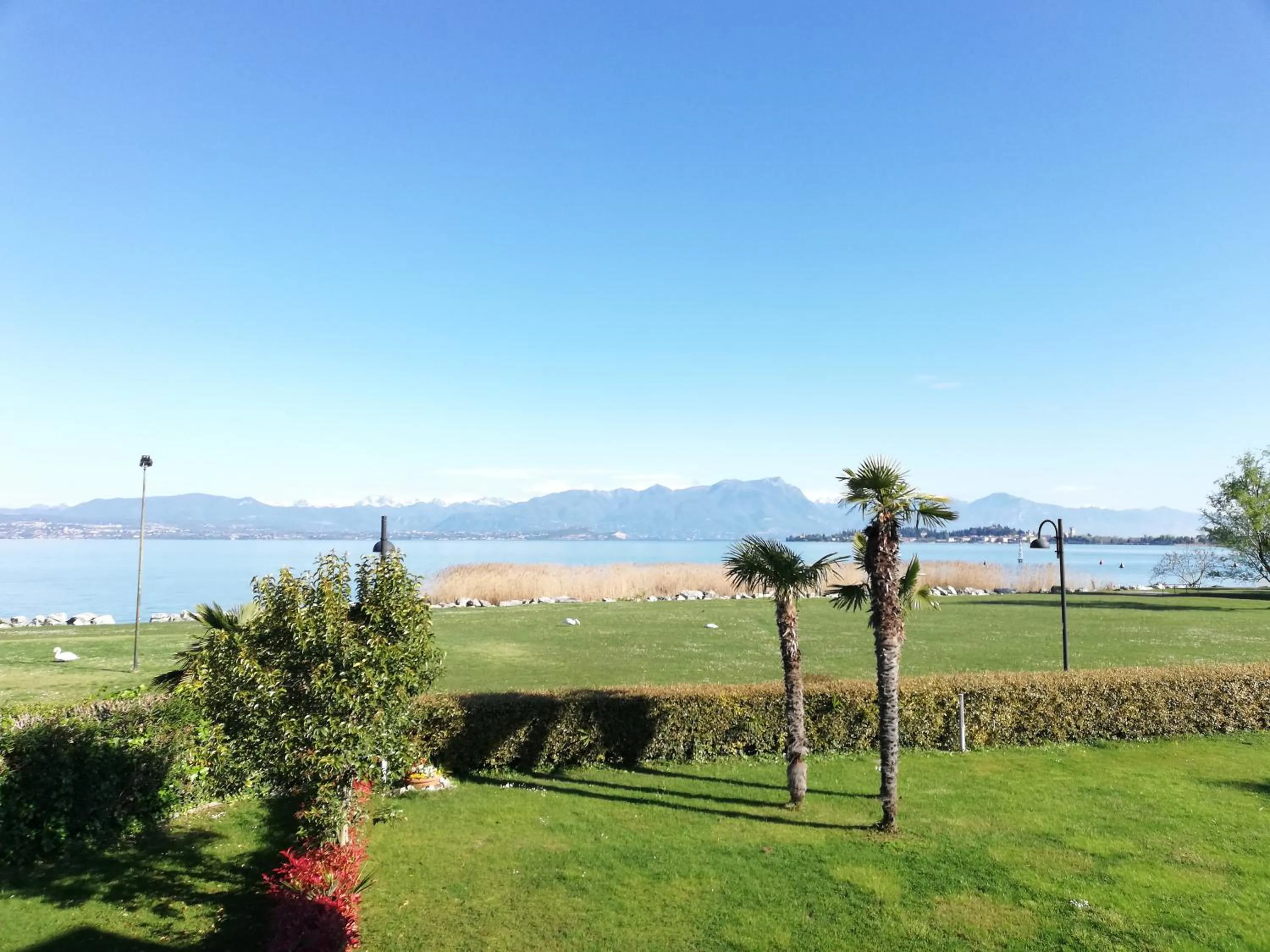 Beach in Appartamenti Residence Tulipano