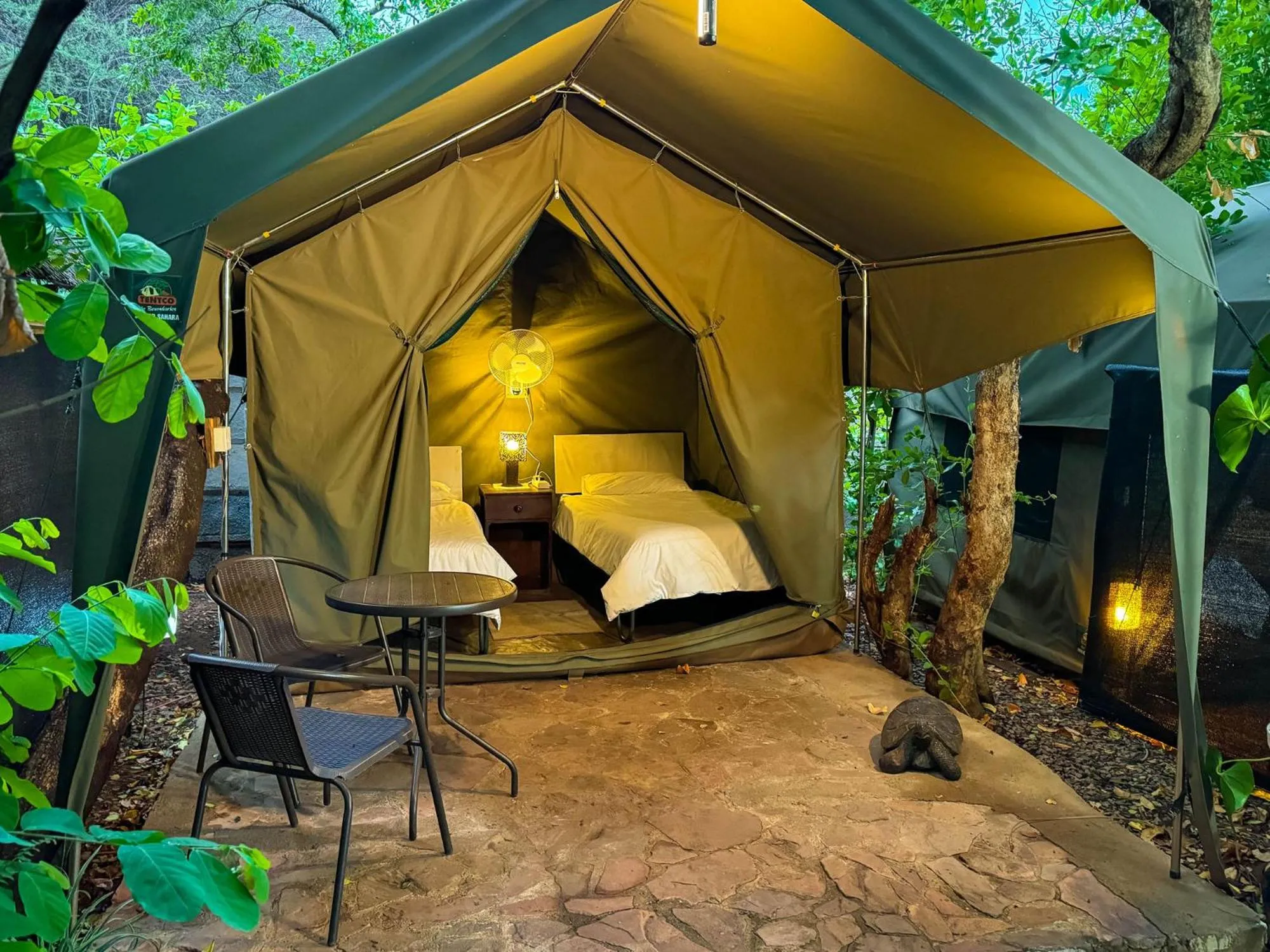 Property building, Bed in Victoria Falls Backpackers Lodge